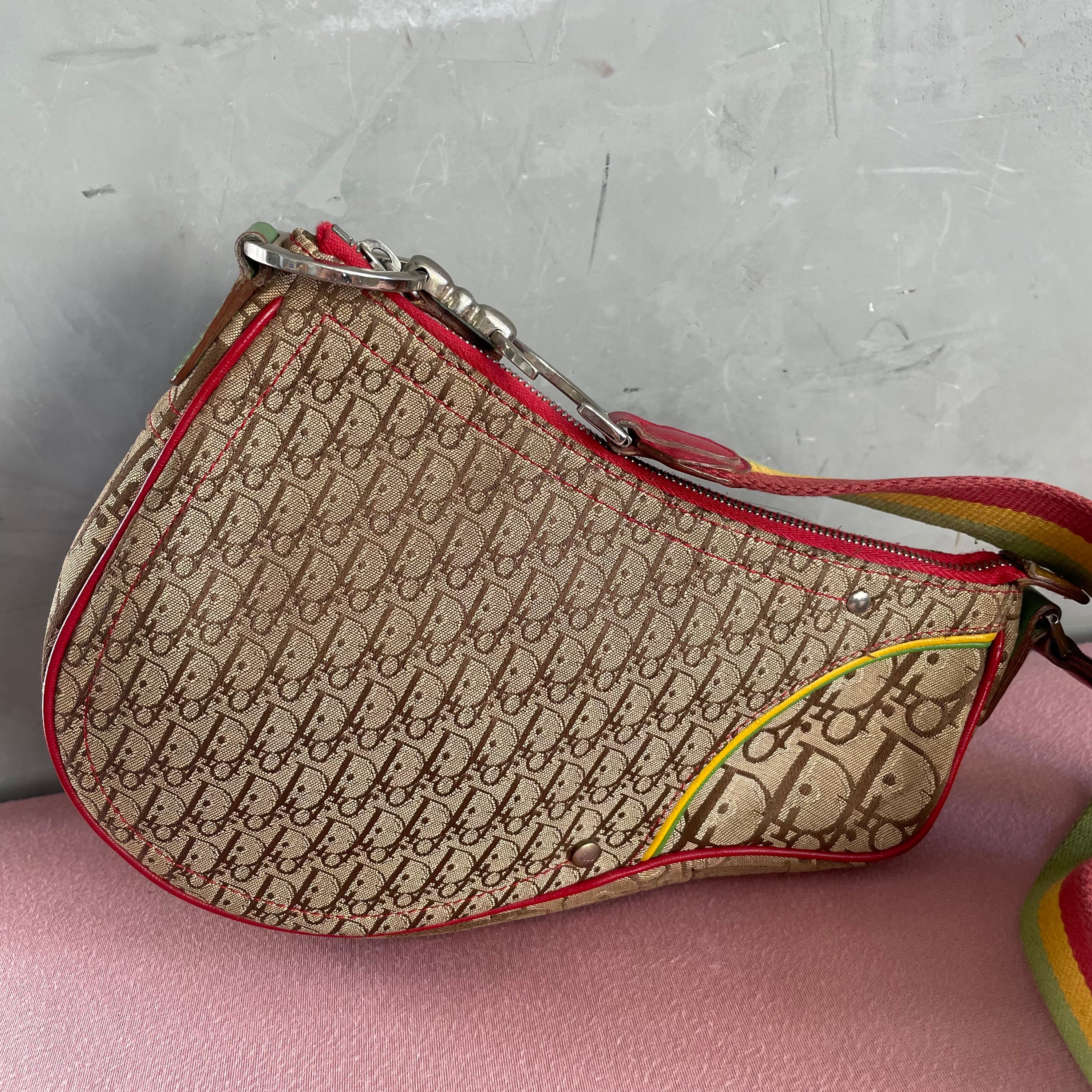 Dior Rasta Long Saddle Bag