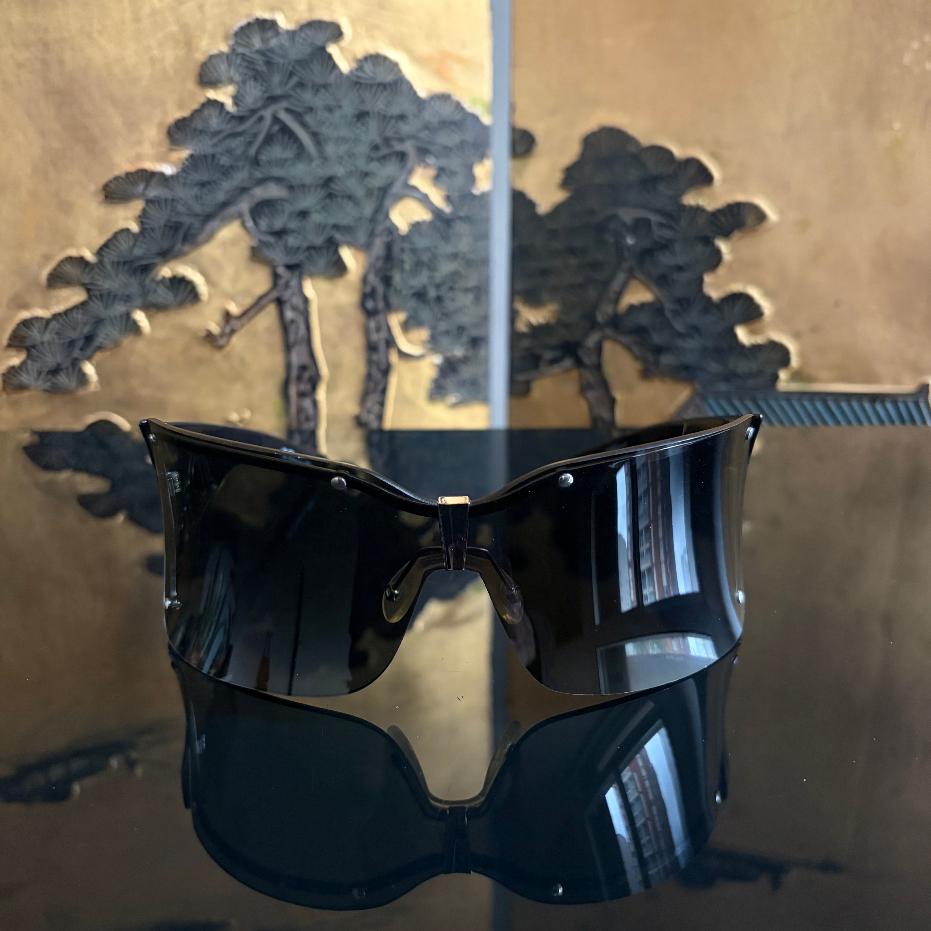 Christian Dior Parabole 2 Sunglasses