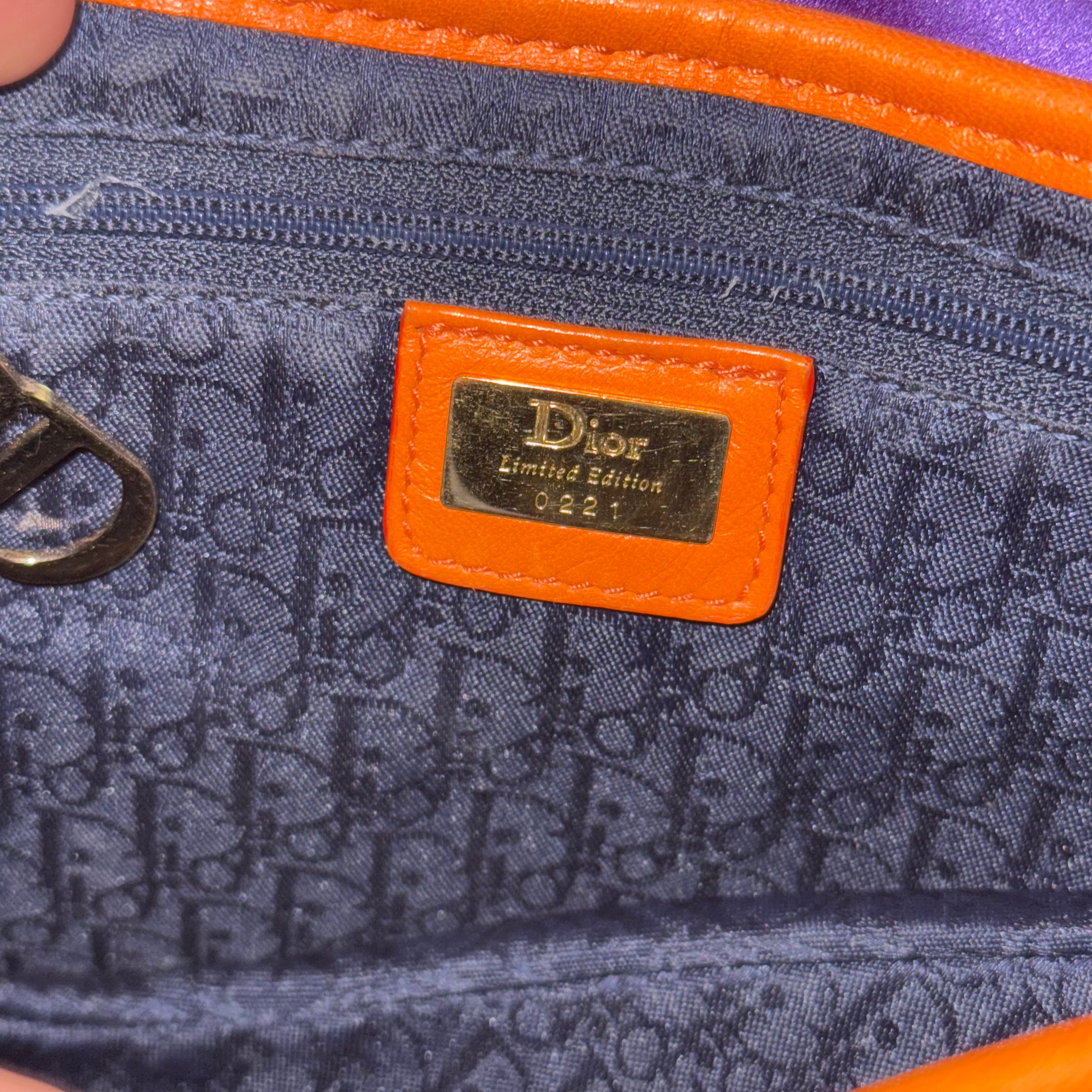 Christian Dior 2003 F/W Shanghai Saddle Bag
