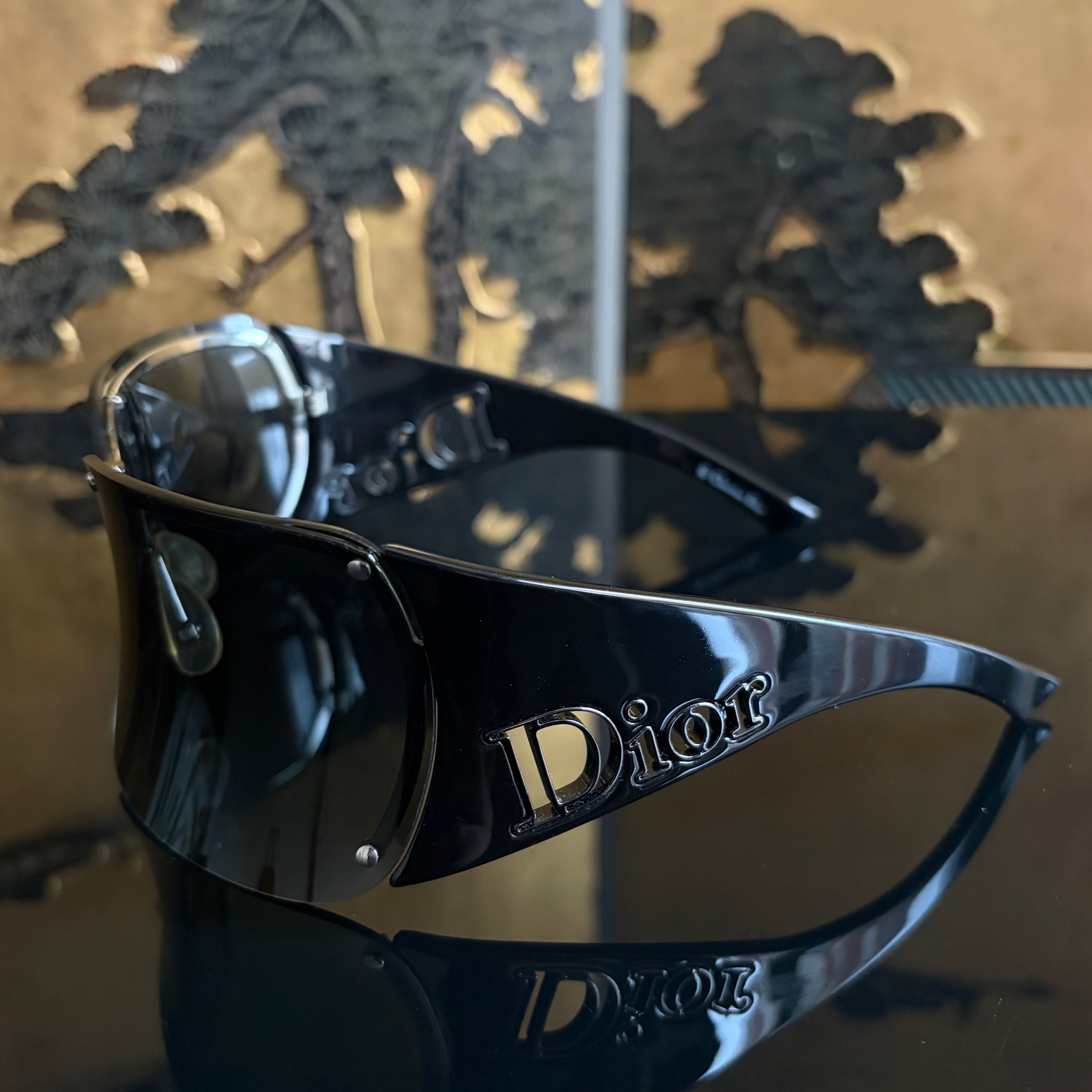 Christian Dior Parabole 2 Sunglasses