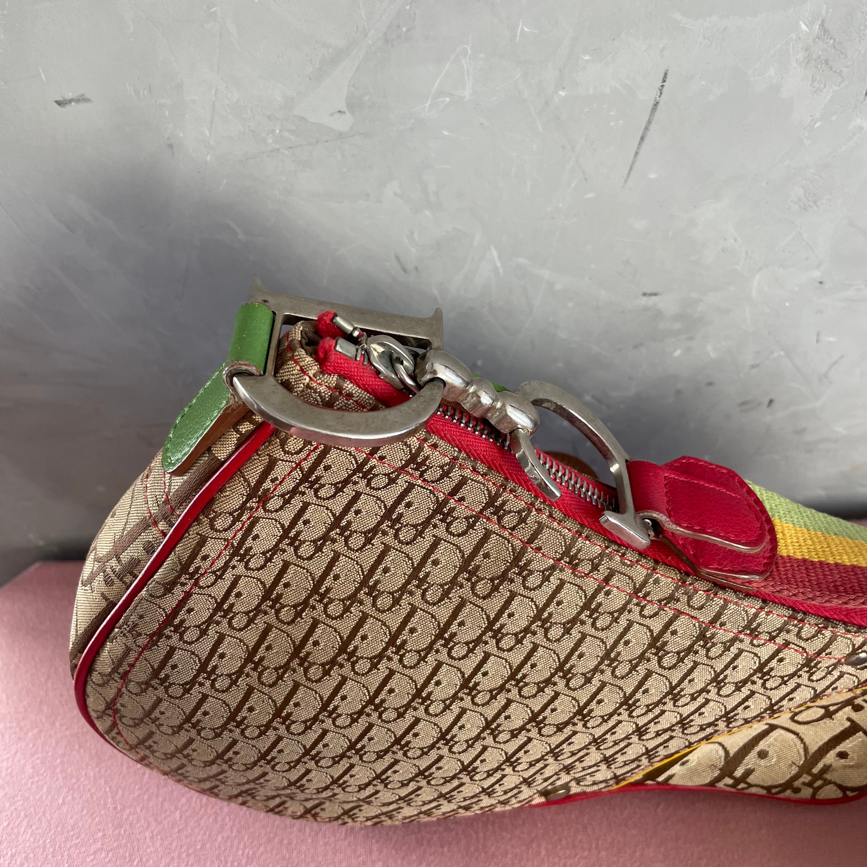 Dior Rasta Long Saddle Bag