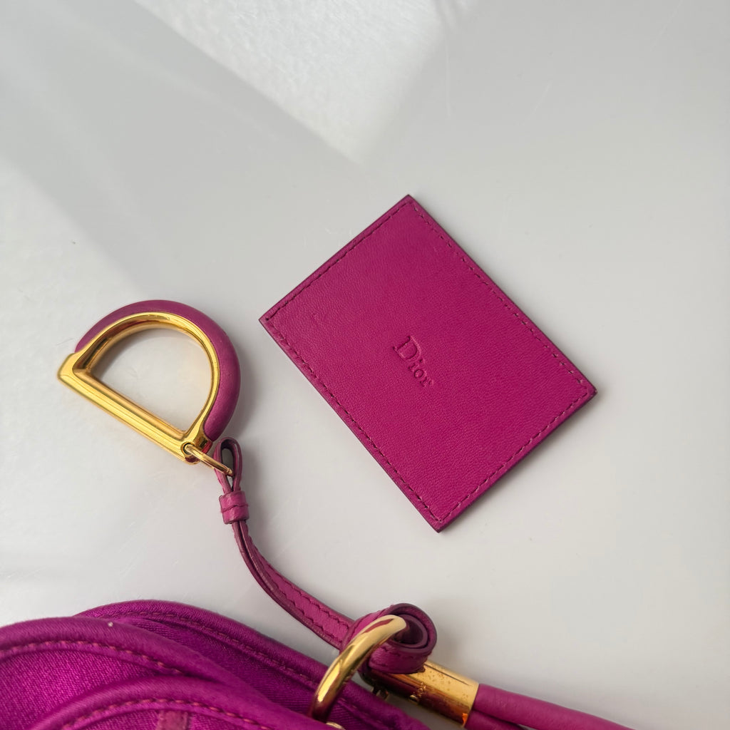 Christian Dior by John Galliano F/W 2008 Pochette