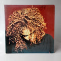 Janet Jackson Velvet Rope (Limited Edition)