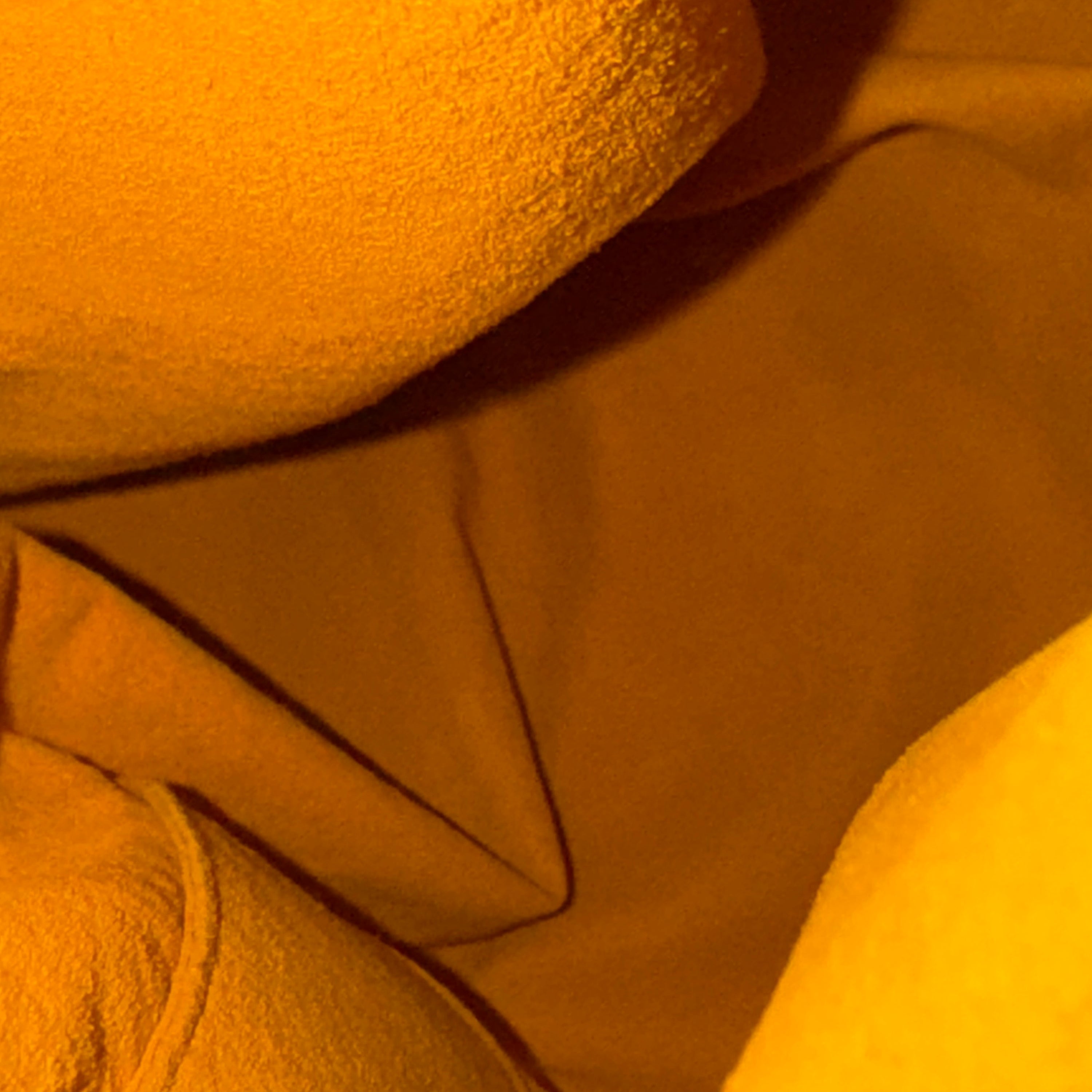 Louis Vuitton Baggy Denim GM