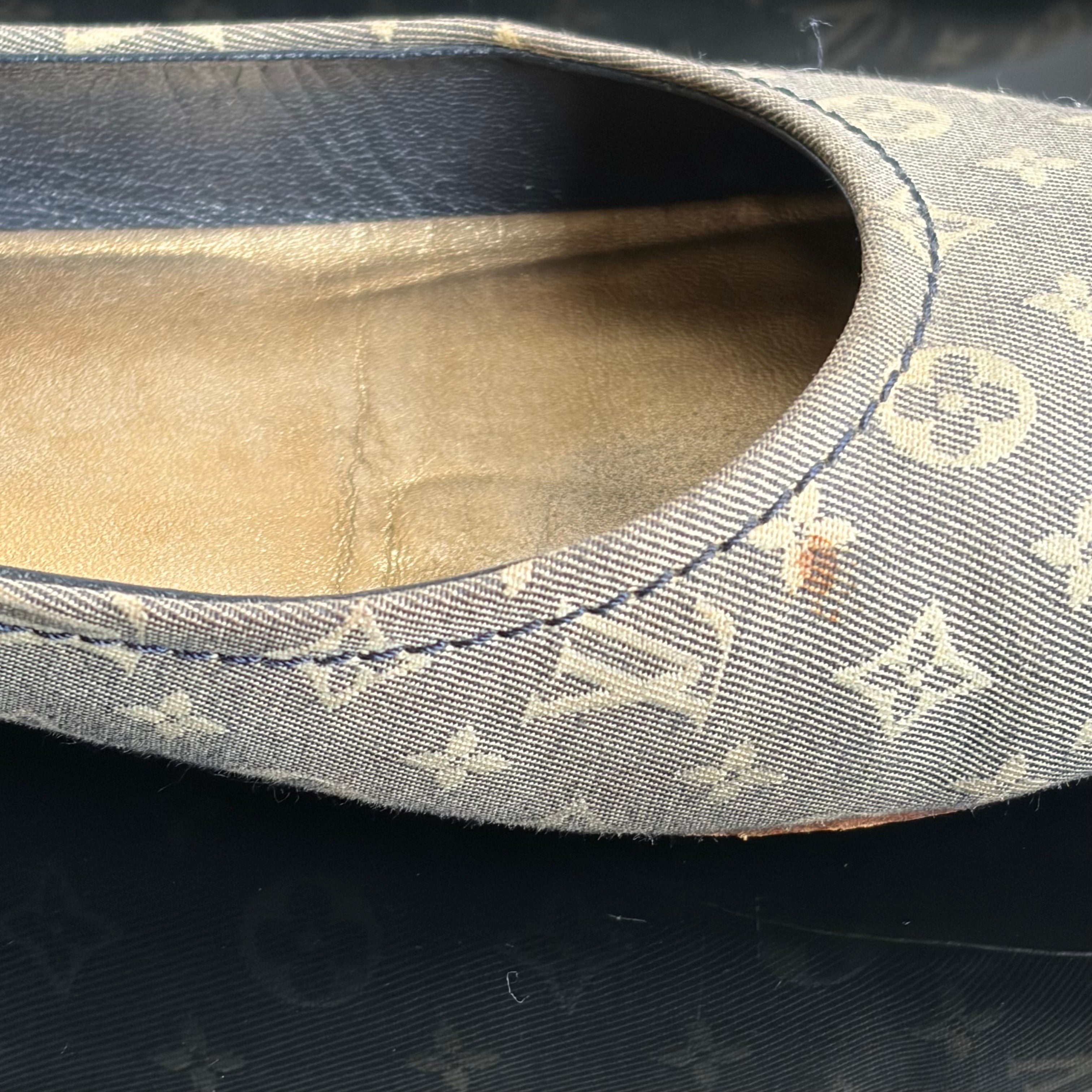 Louis Vuitton Canvas Mini Lin Monogram Flats