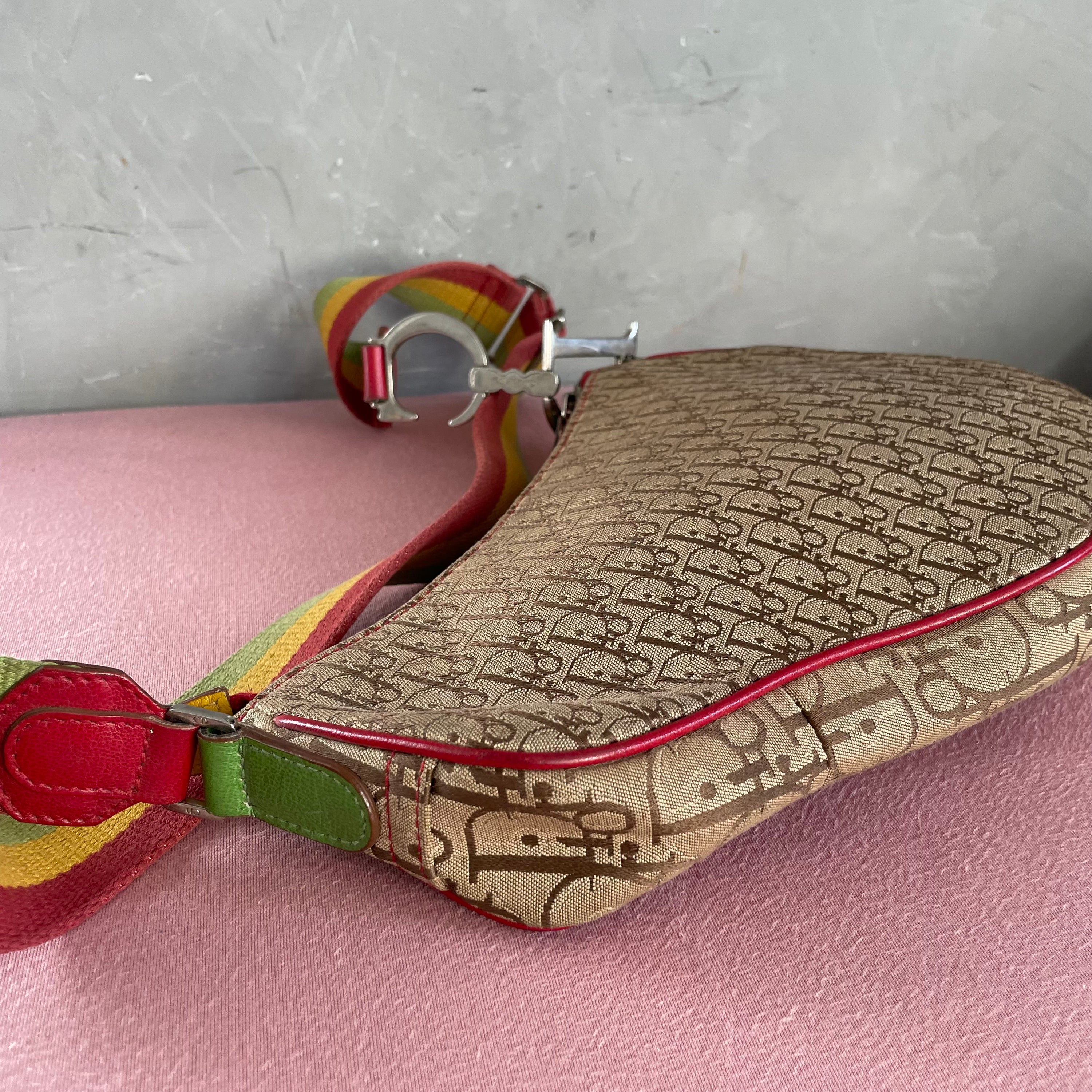 Dior Rasta Long Saddle Bag