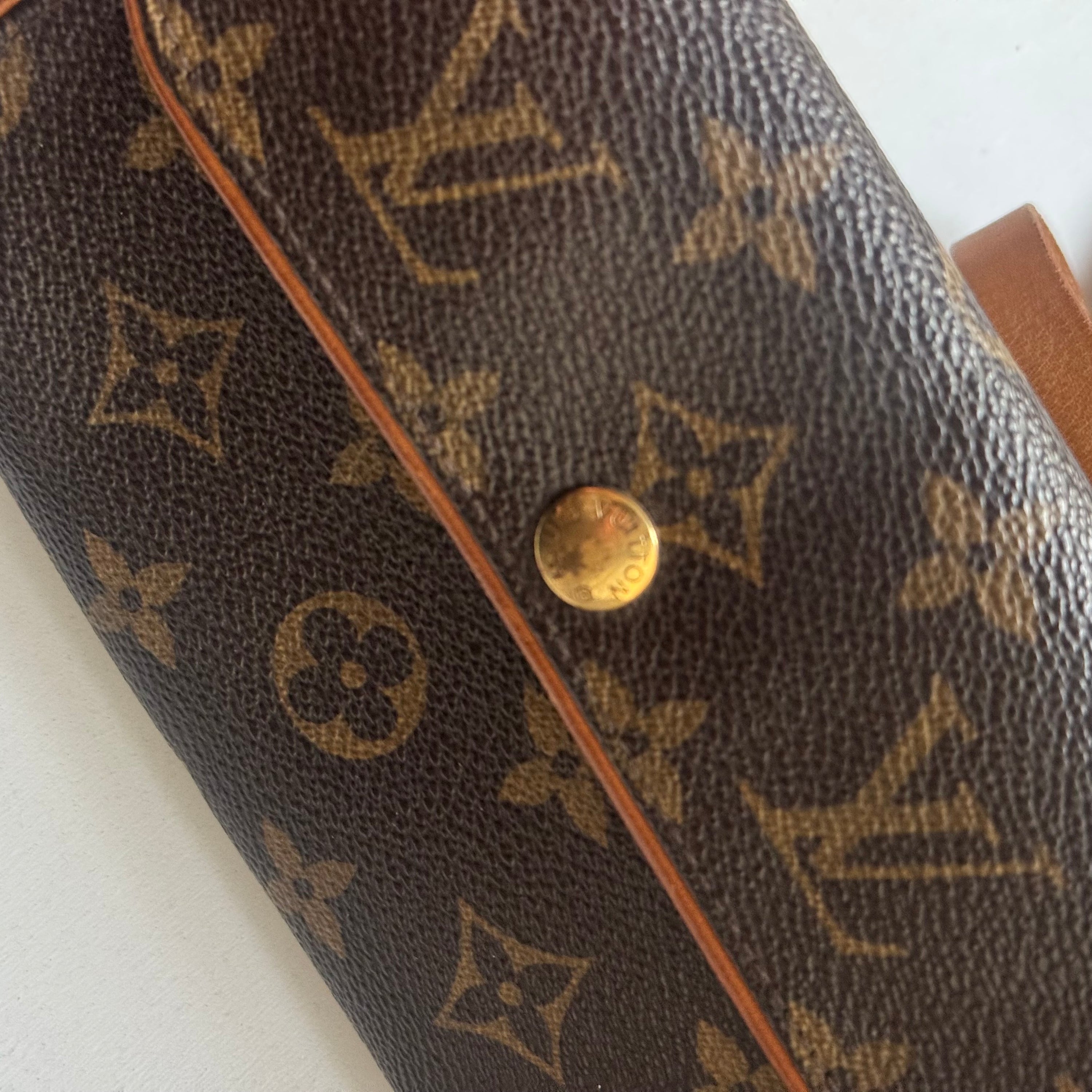 Louis Vuitton Florentine Bag
