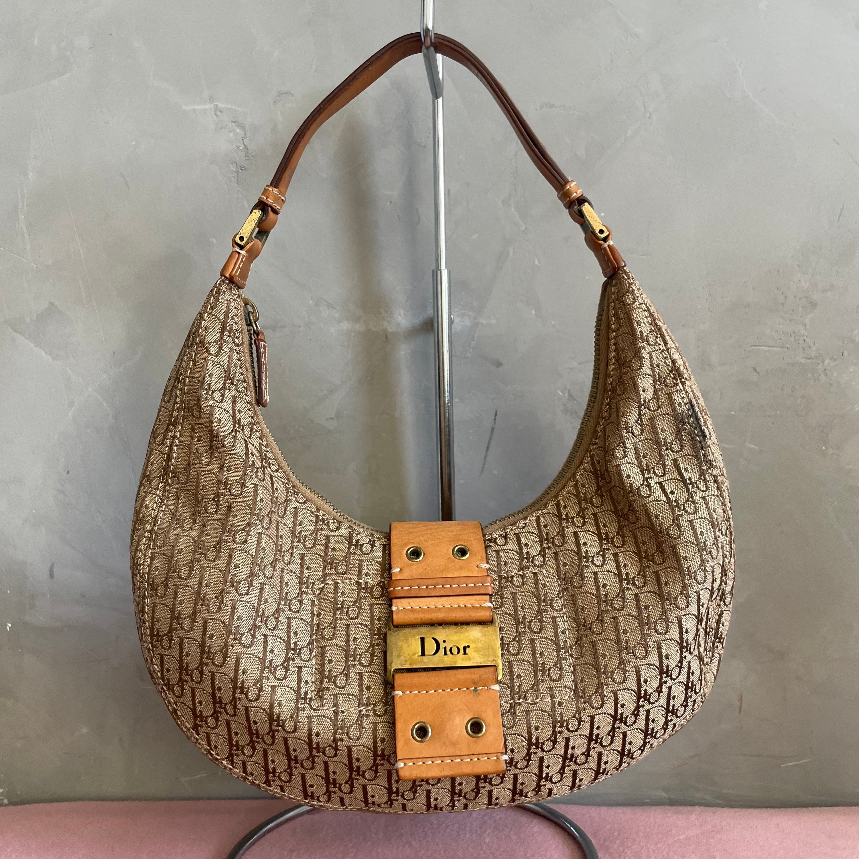 Christian Dior Half Moon Street Chic Bag