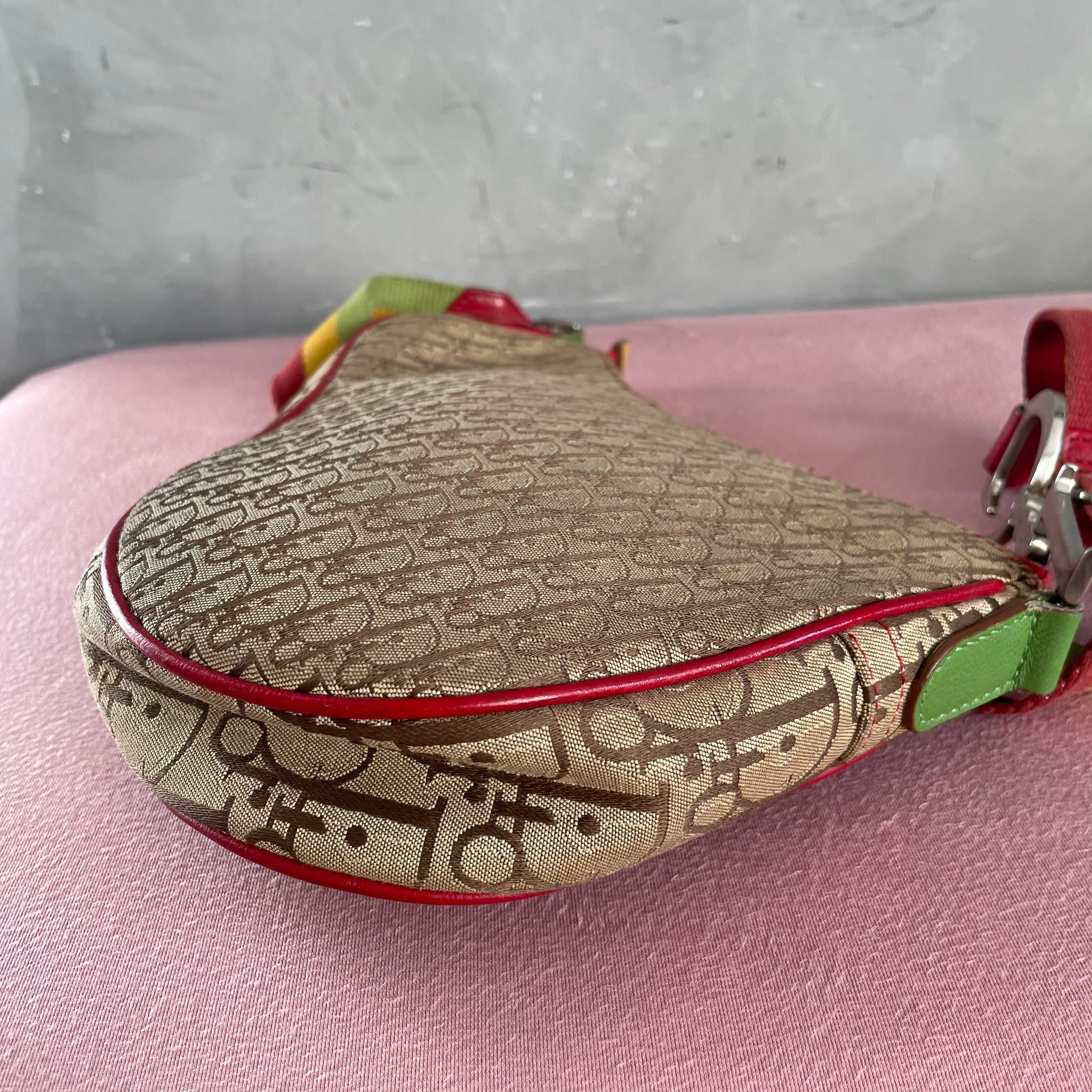 Dior Rasta Long Saddle Bag