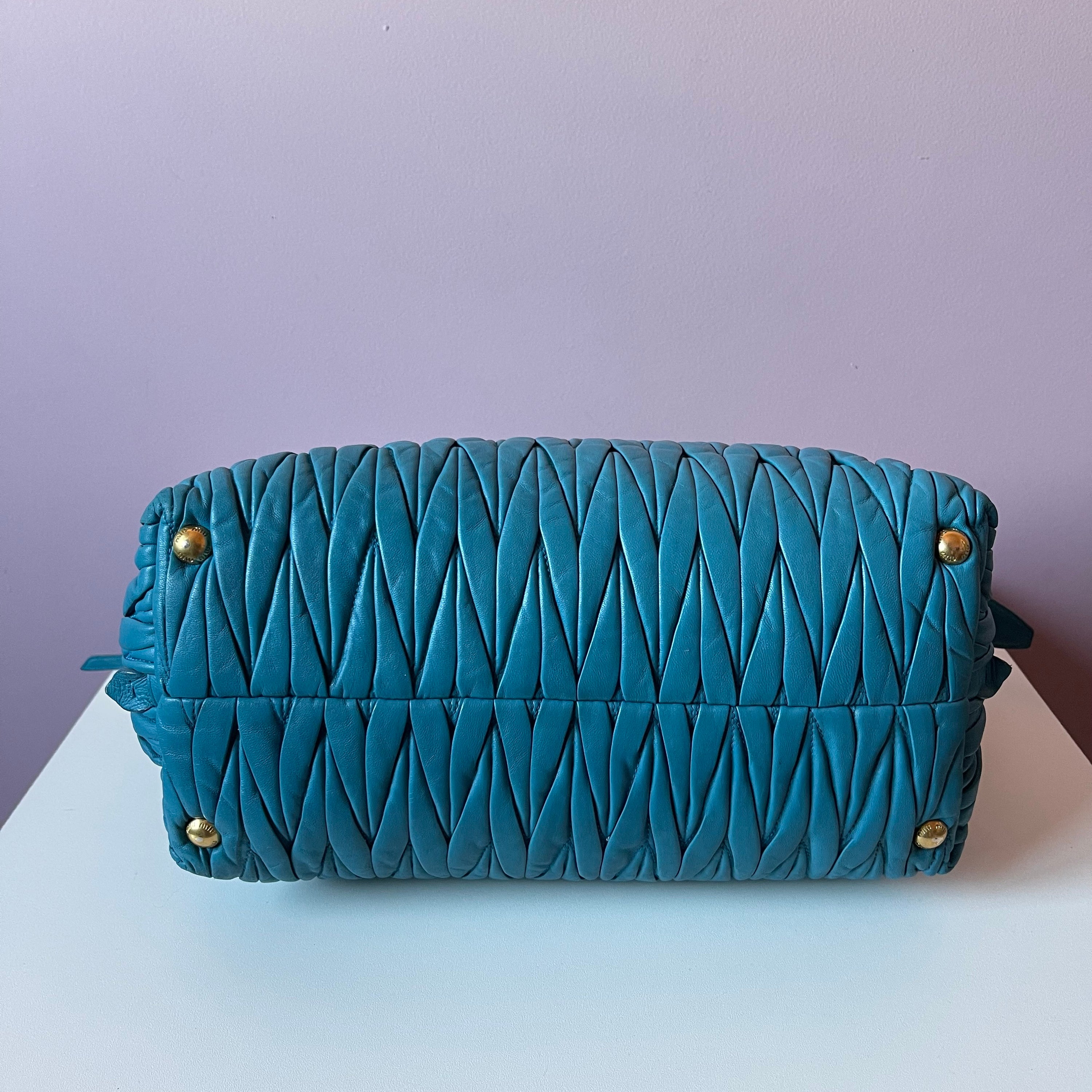 Miu Miu Leather Side Zip Bag