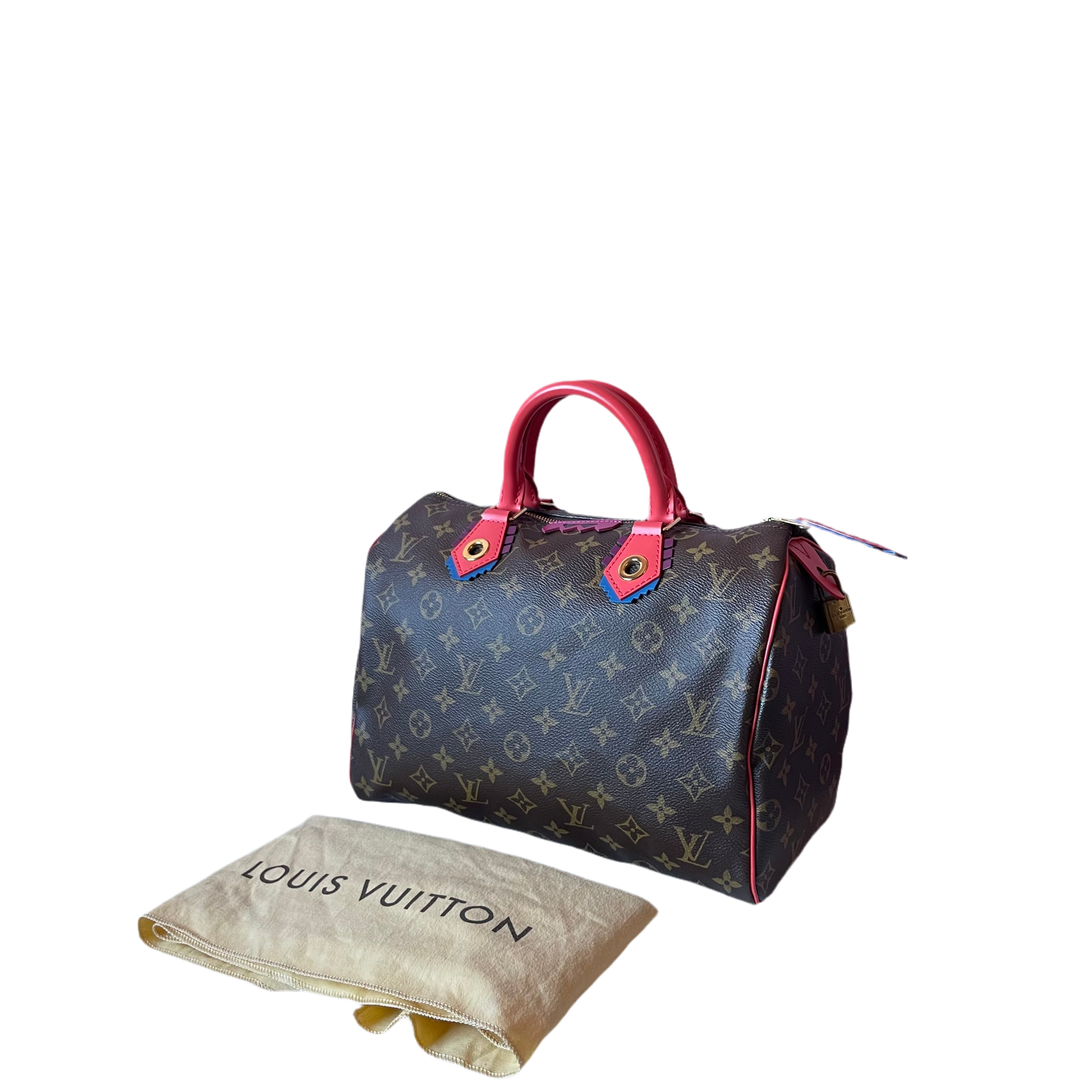 Louis Vuitton Monogram Totem Speedy 30 Bag