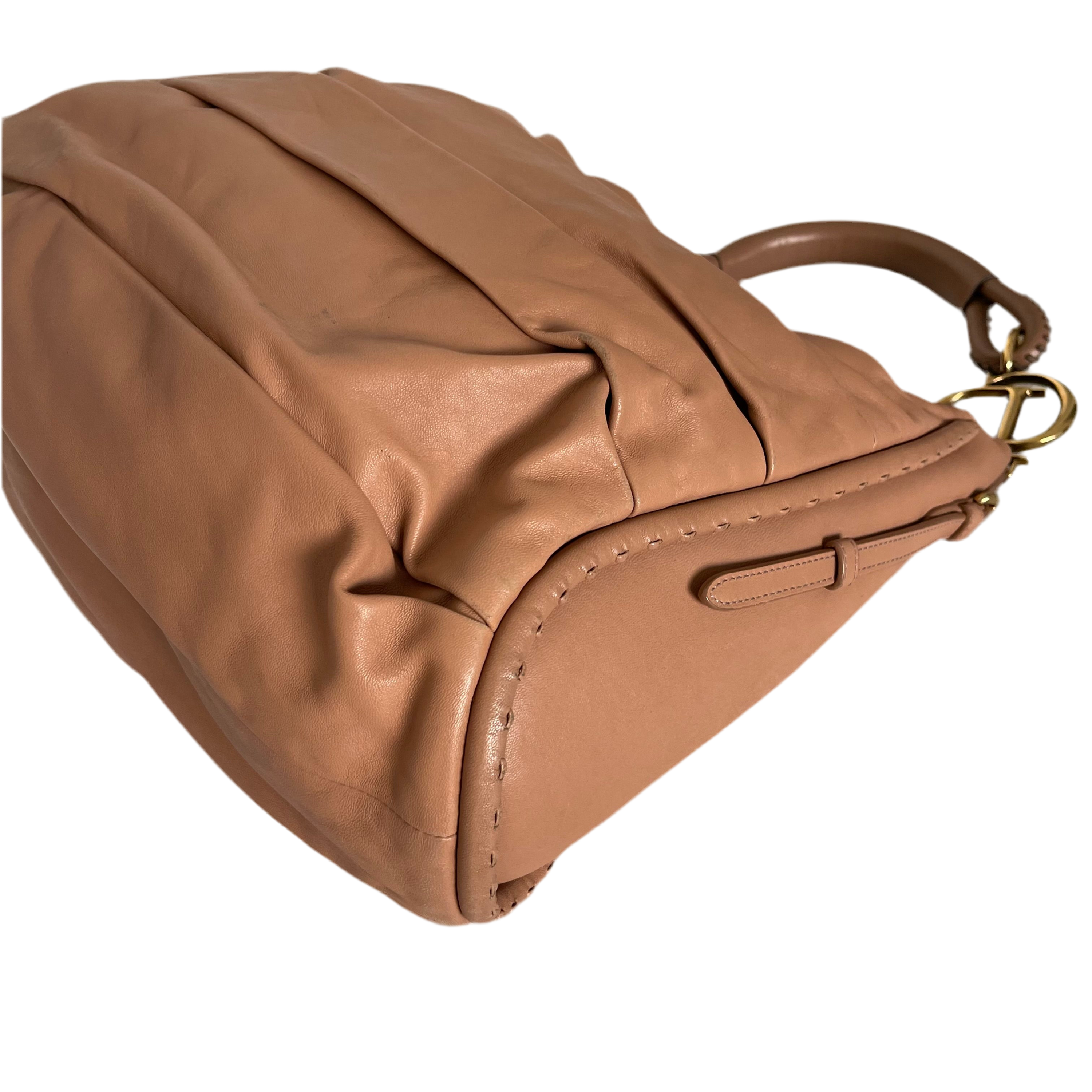 Christian Dior F/W 2010 Libertine Hobo Bag