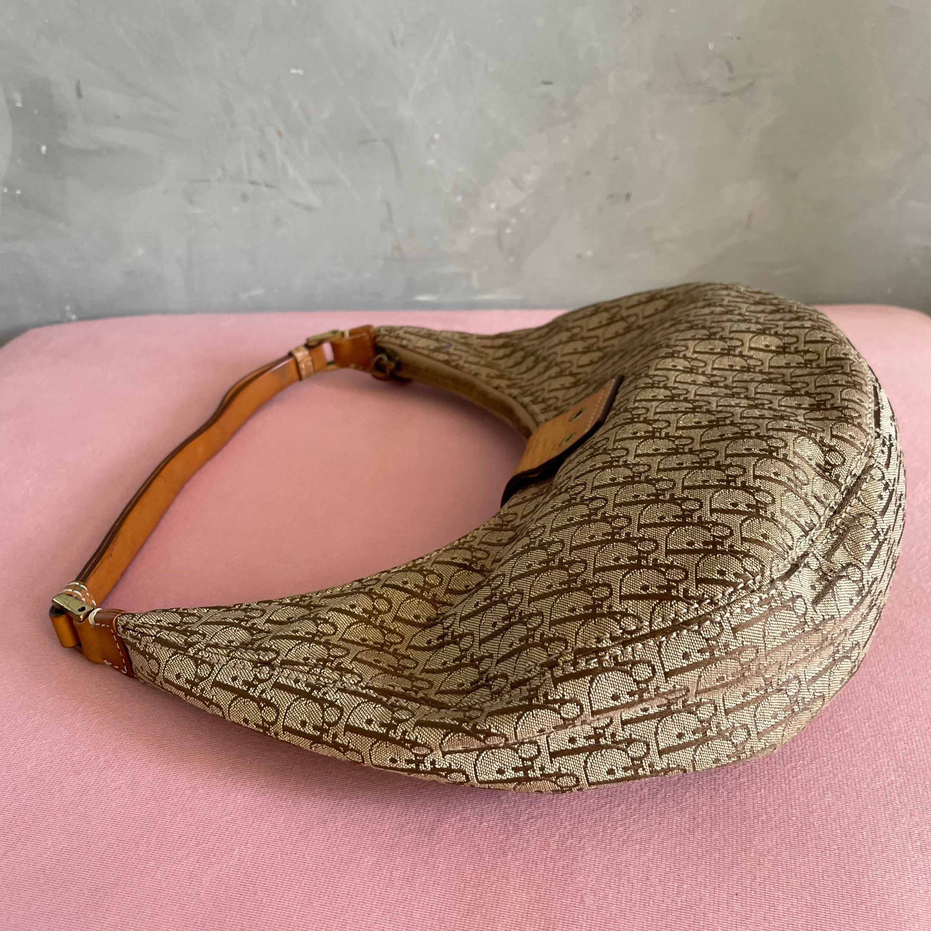 Christian Dior Half Moon Street Chic Bag