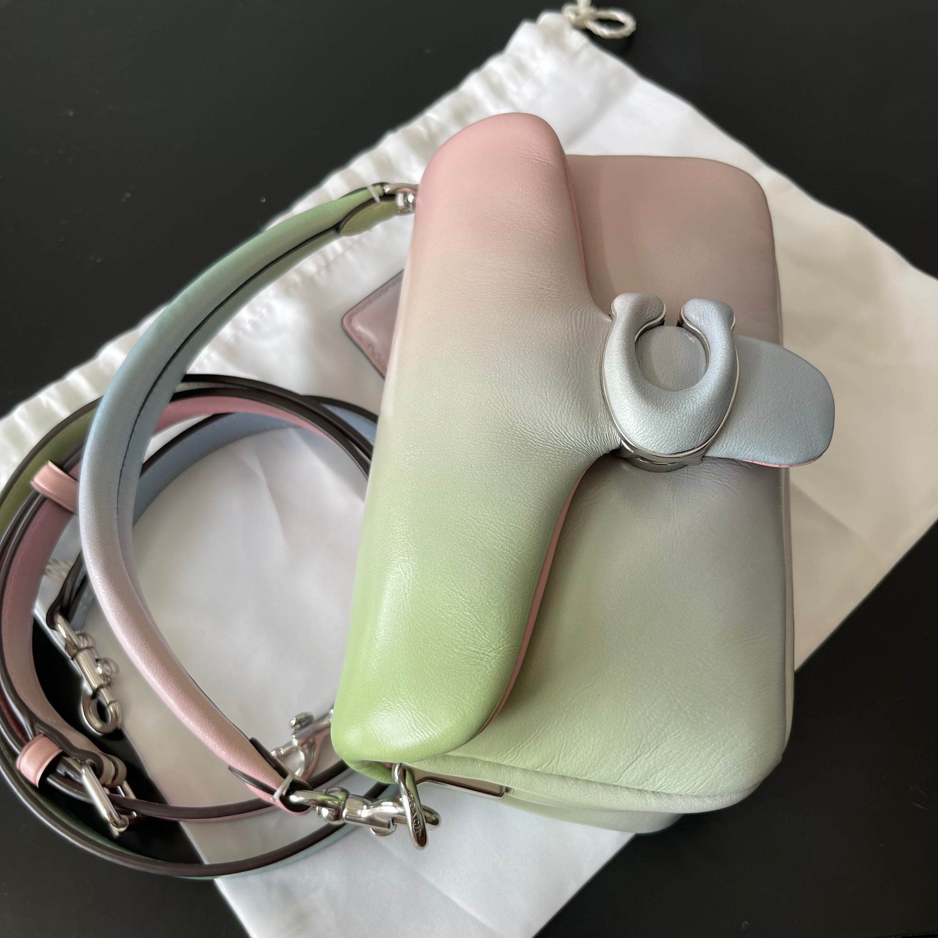Coach Tabby 18 Rainbow Bag