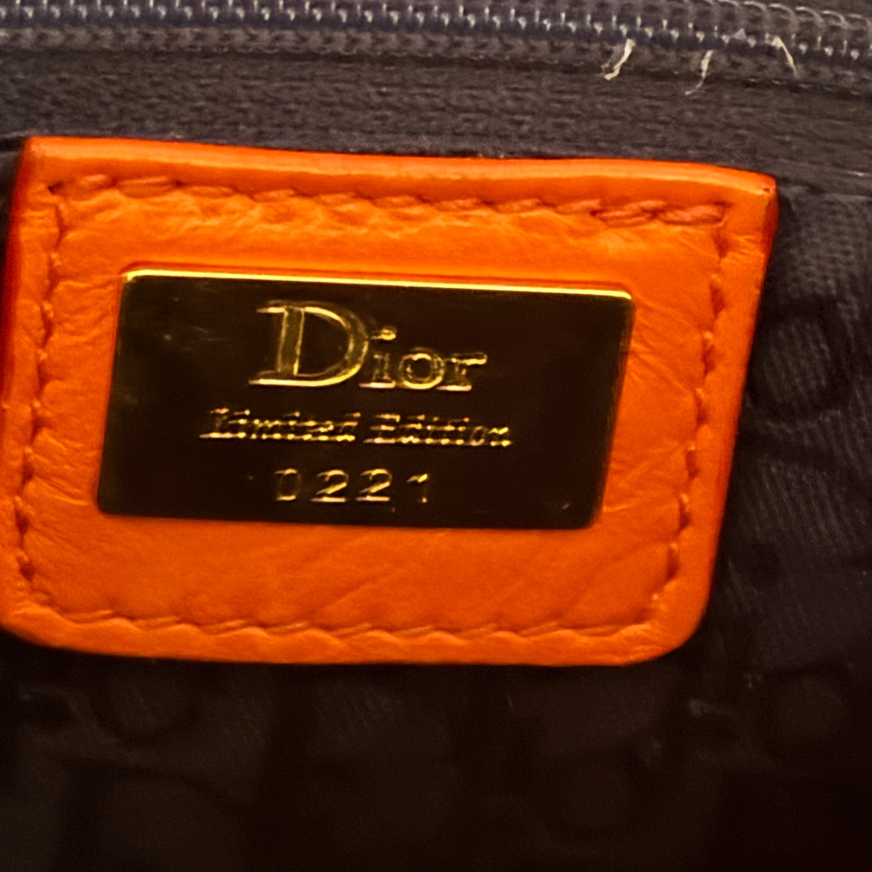 Christian Dior 2003 F/W Shanghai Saddle Bag