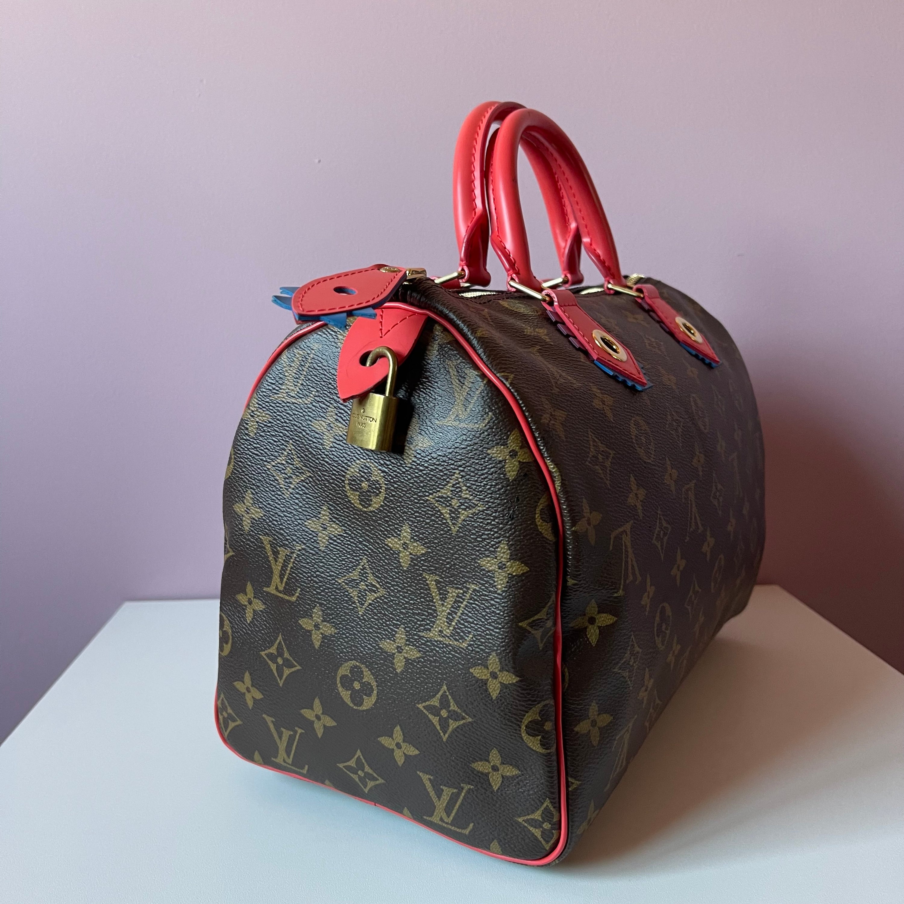 Louis Vuitton Monogram Totem Speedy 30 Bag