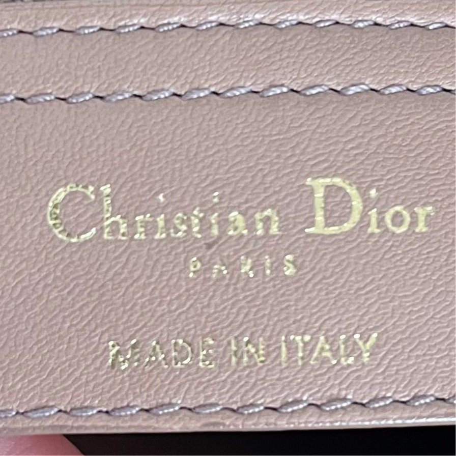 Christian Dior F/W 2010 Libertine Hobo Bag