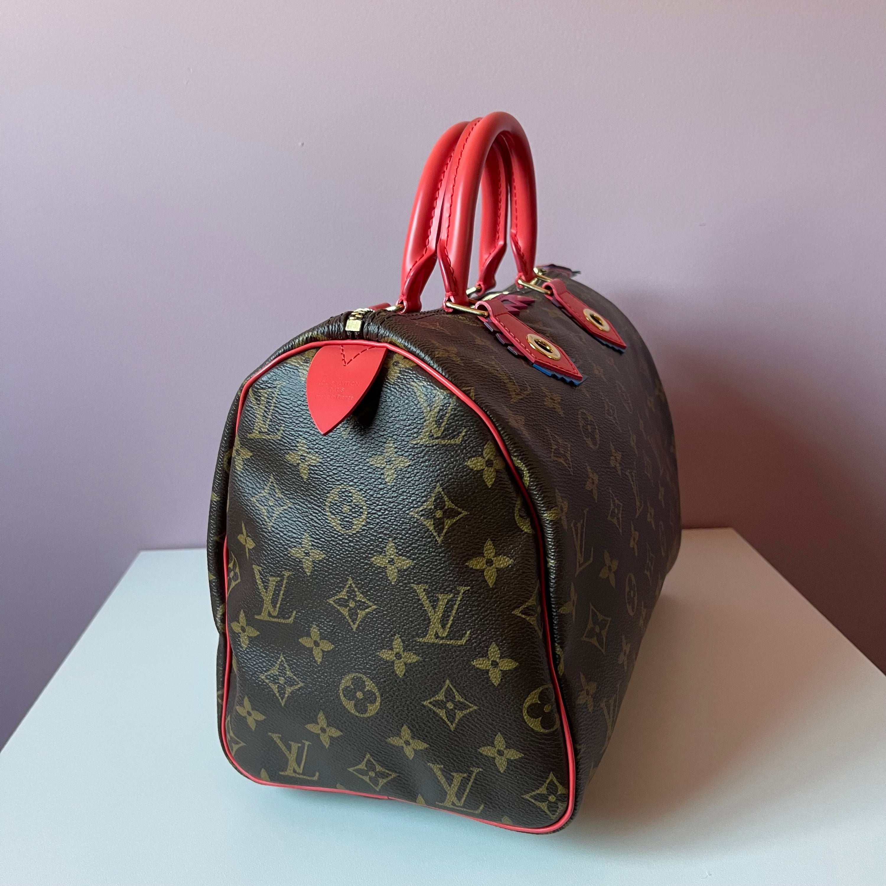 Louis Vuitton Monogram Totem Speedy 30 Bag