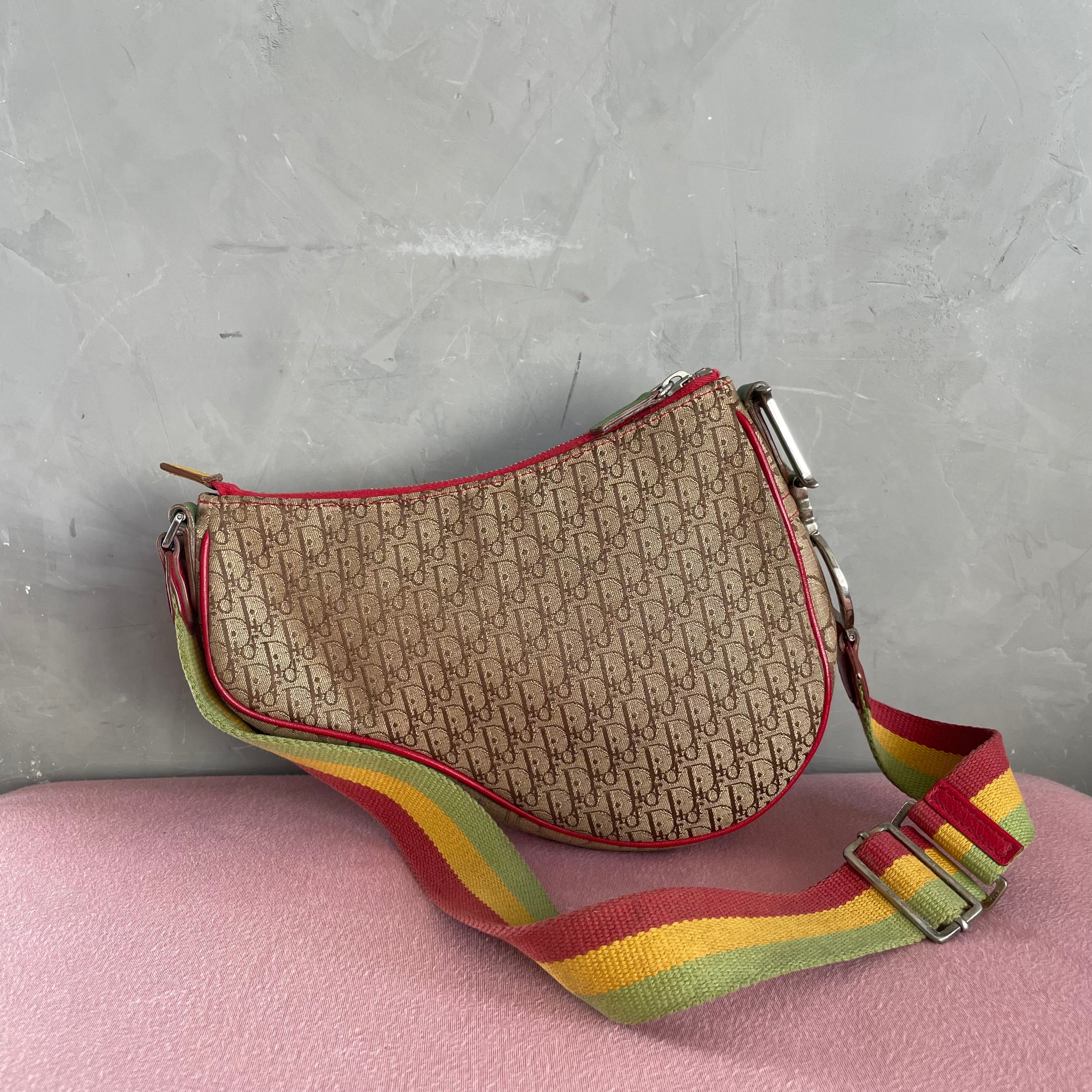 Dior Rasta Long Saddle Bag