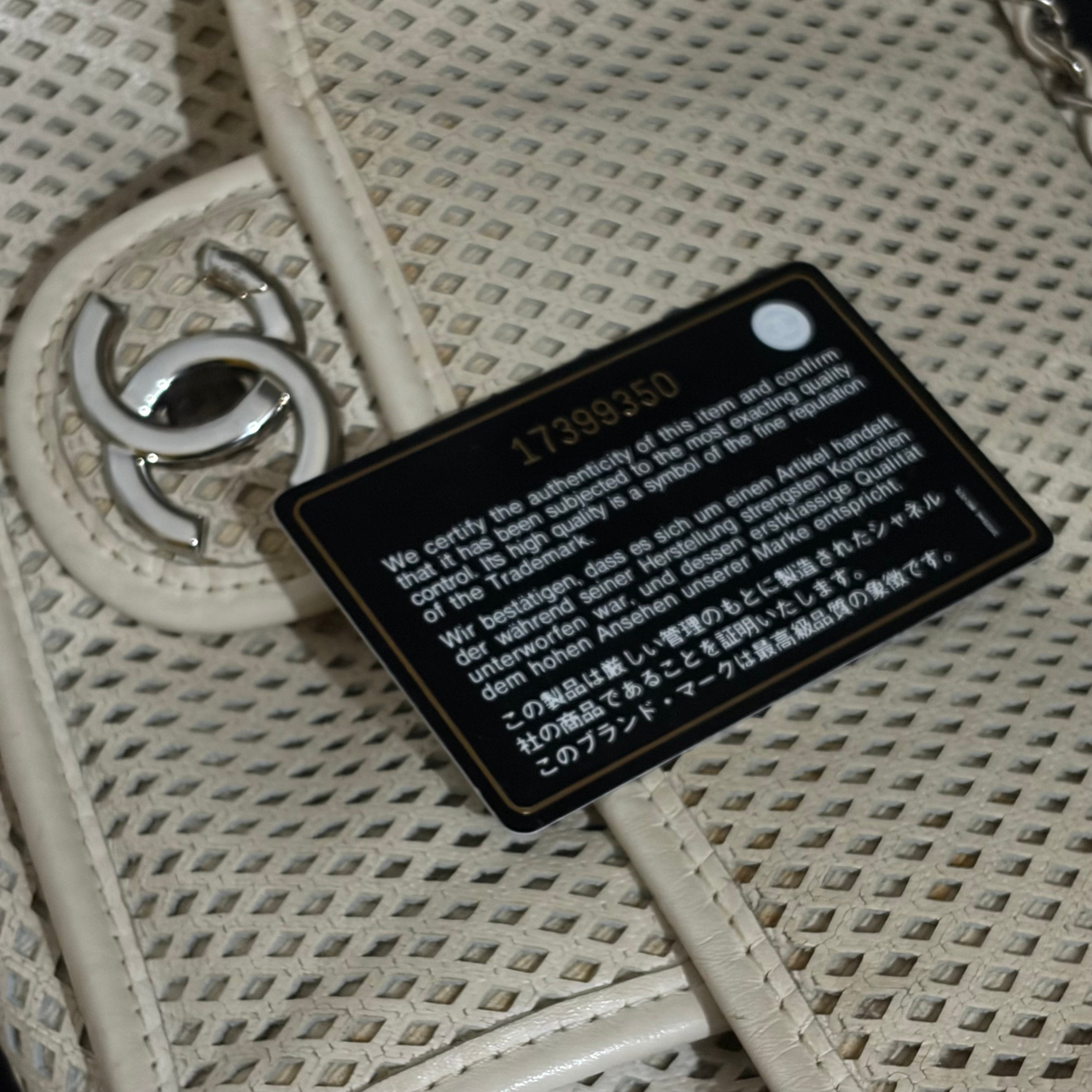 Chanel Up In The Air Flap Bag