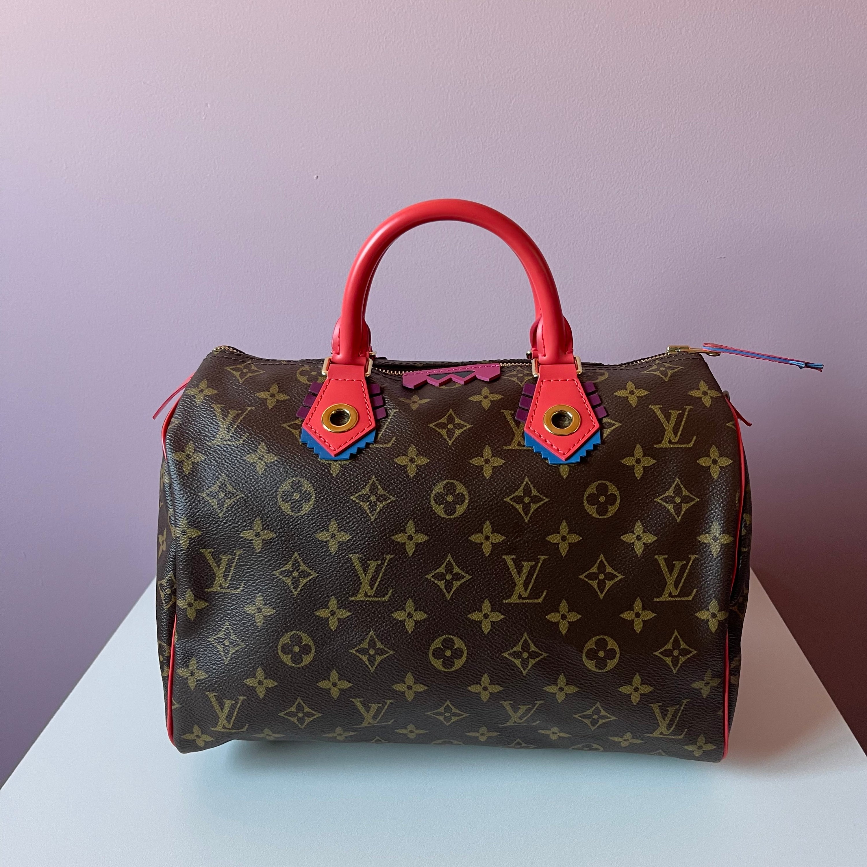 Louis Vuitton Monogram Totem Speedy 30 Bag