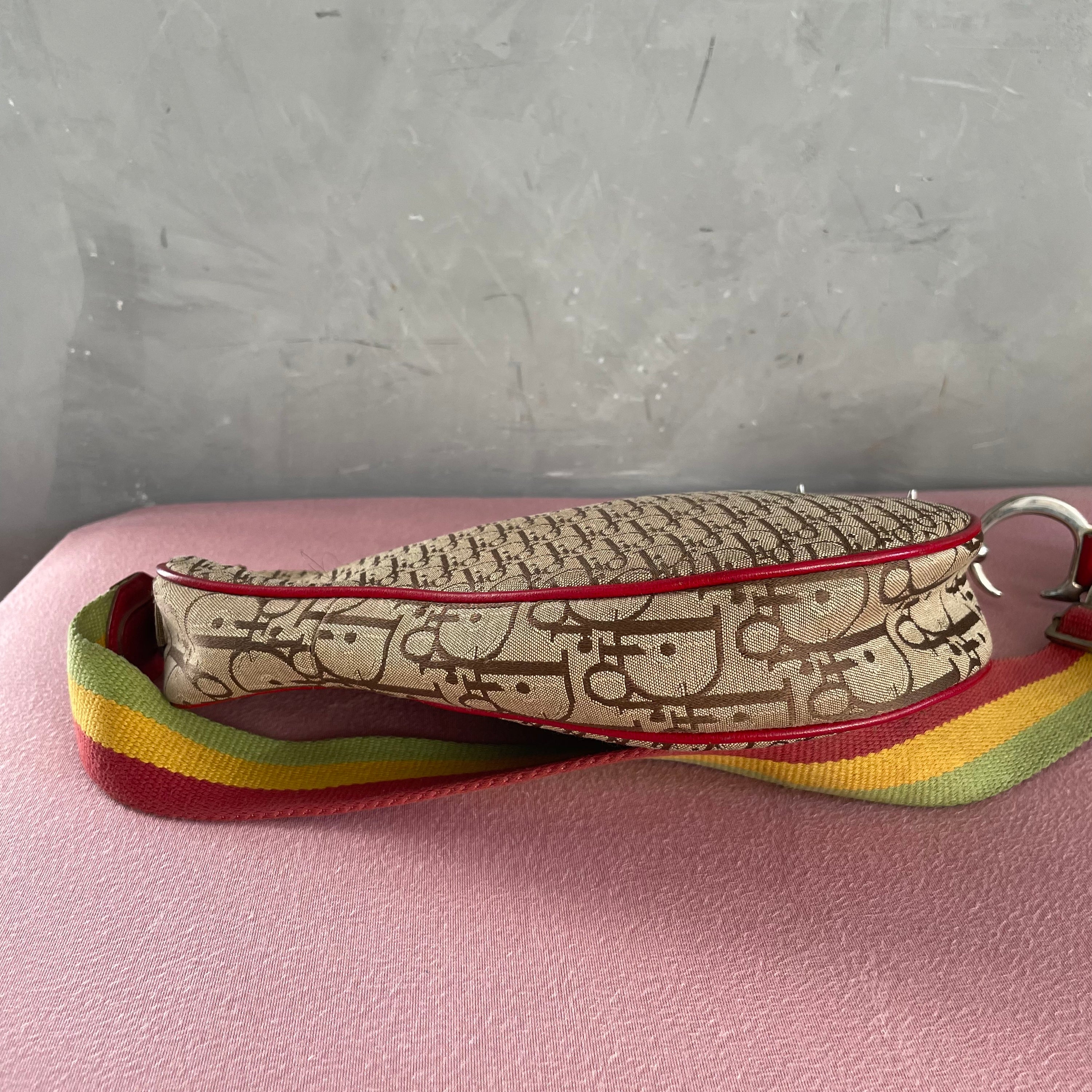 Dior Rasta Long Saddle Bag