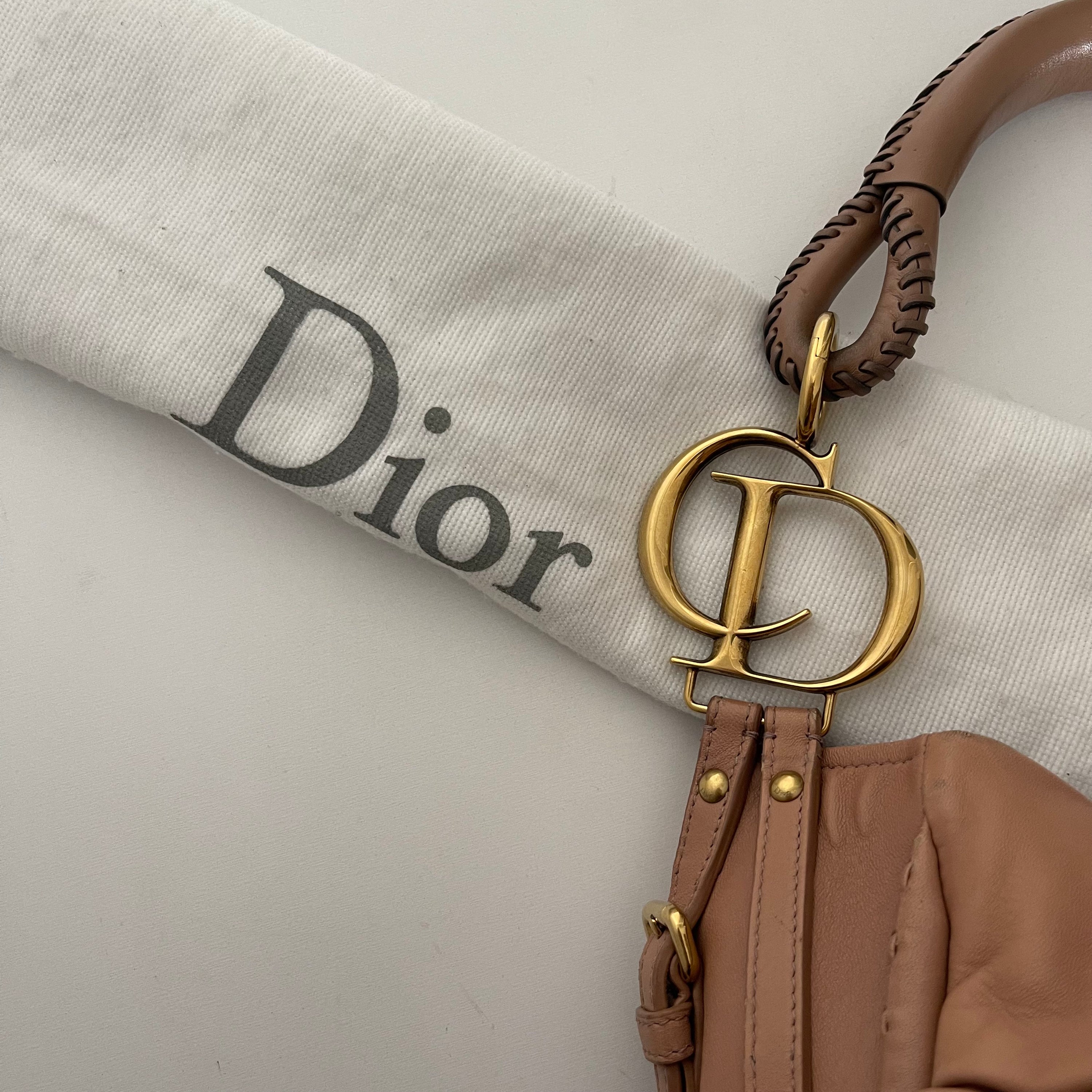 Christian Dior F/W 2010 Libertine Hobo Bag
