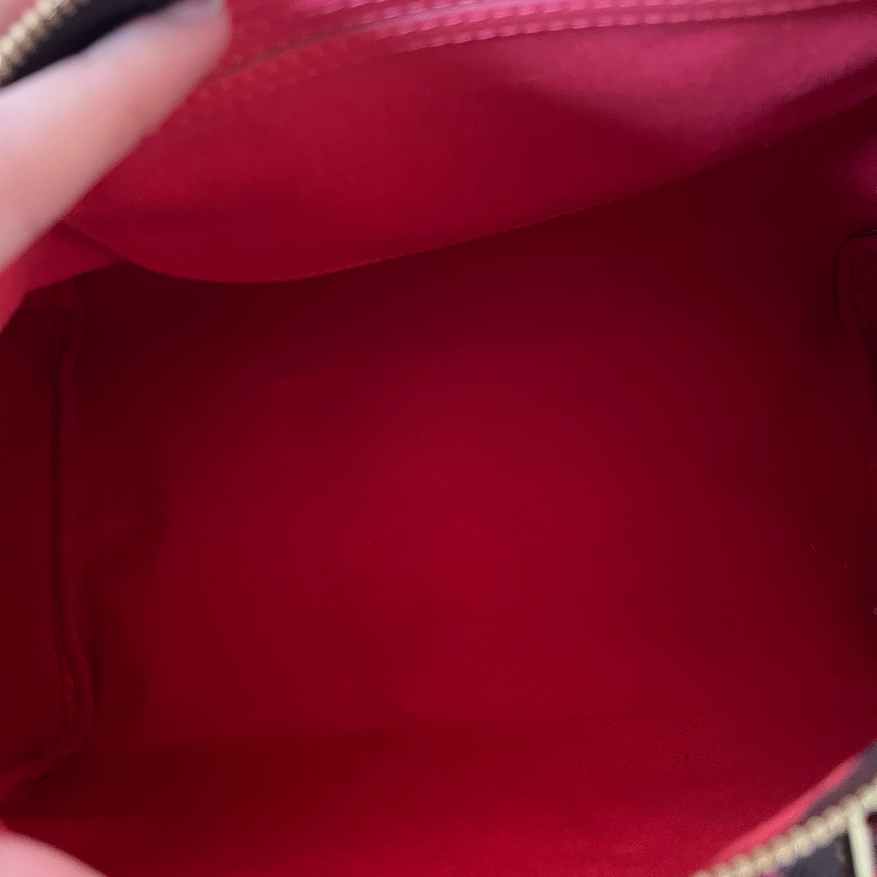 Louis Vuitton Monogram Totem Speedy 30 Bag