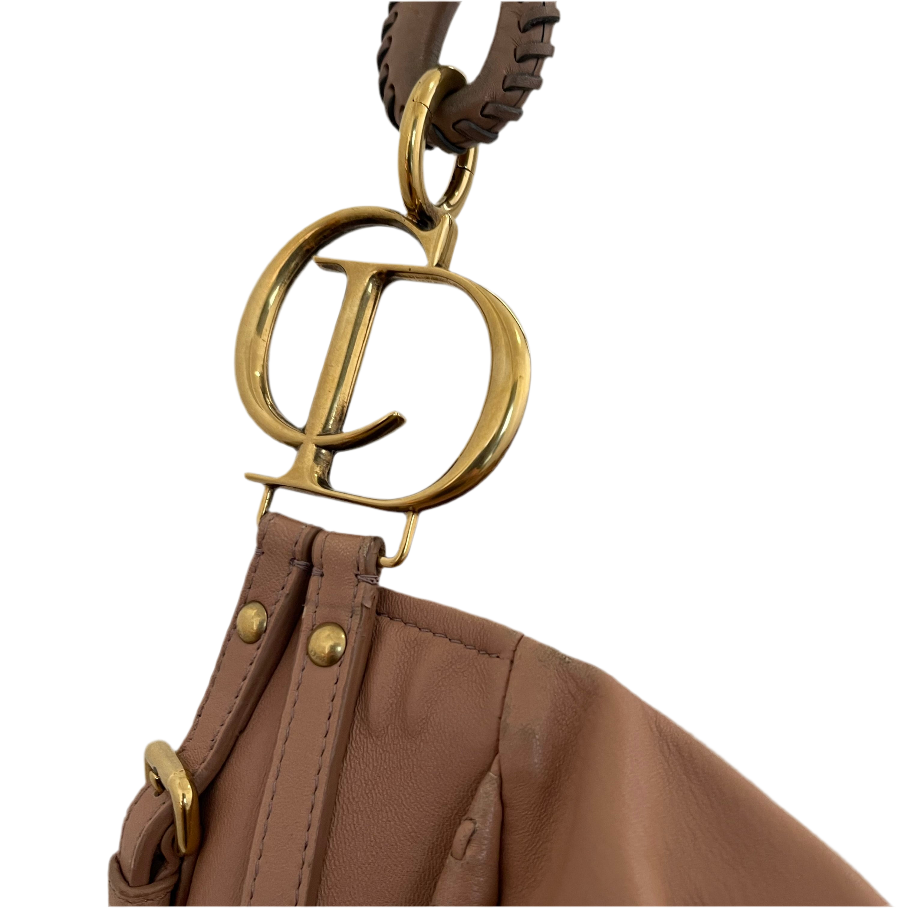 Christian Dior F/W 2010 Libertine Hobo Bag