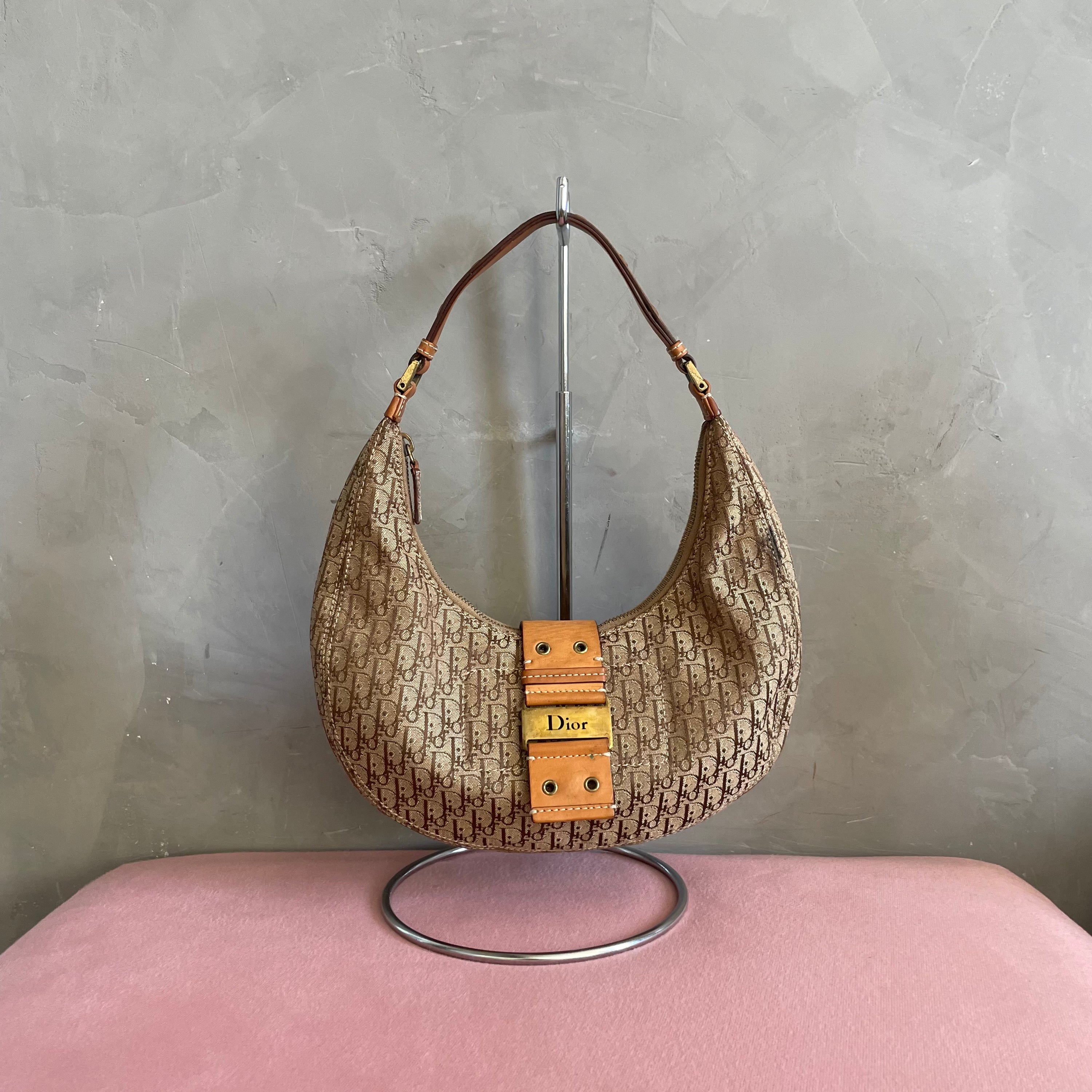 Christian Dior Half Moon Street Chic Bag