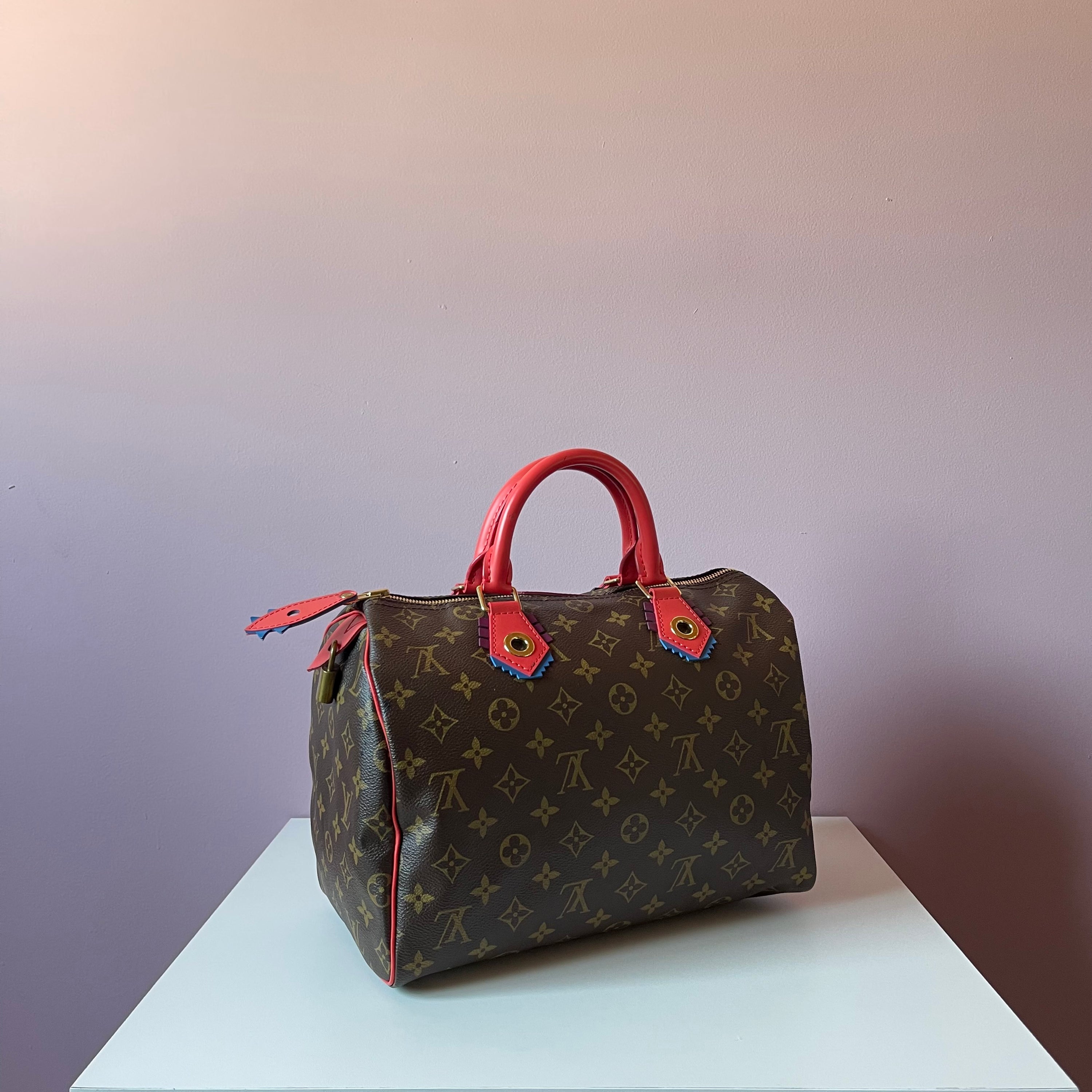 Louis Vuitton Monogram Totem Speedy 30 Bag
