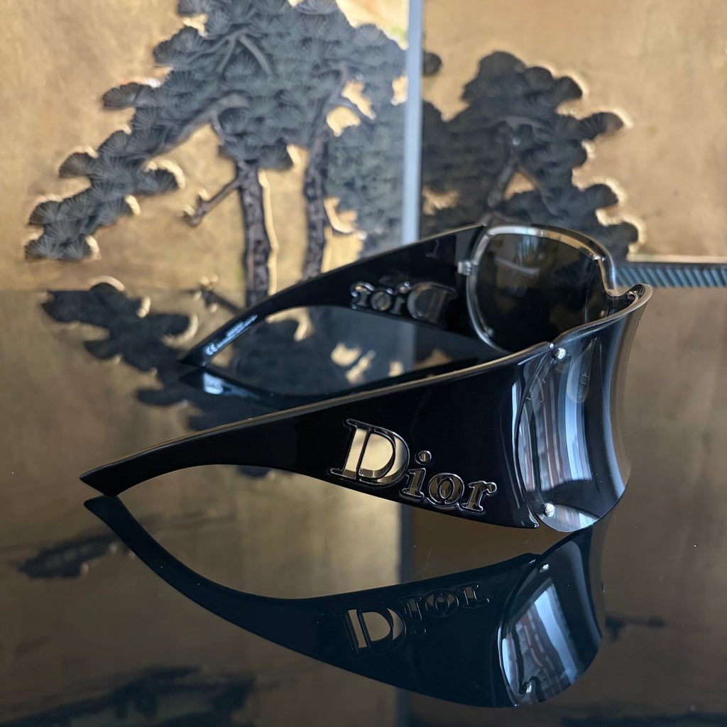 Christian Dior Parabole 2 Sunglasses