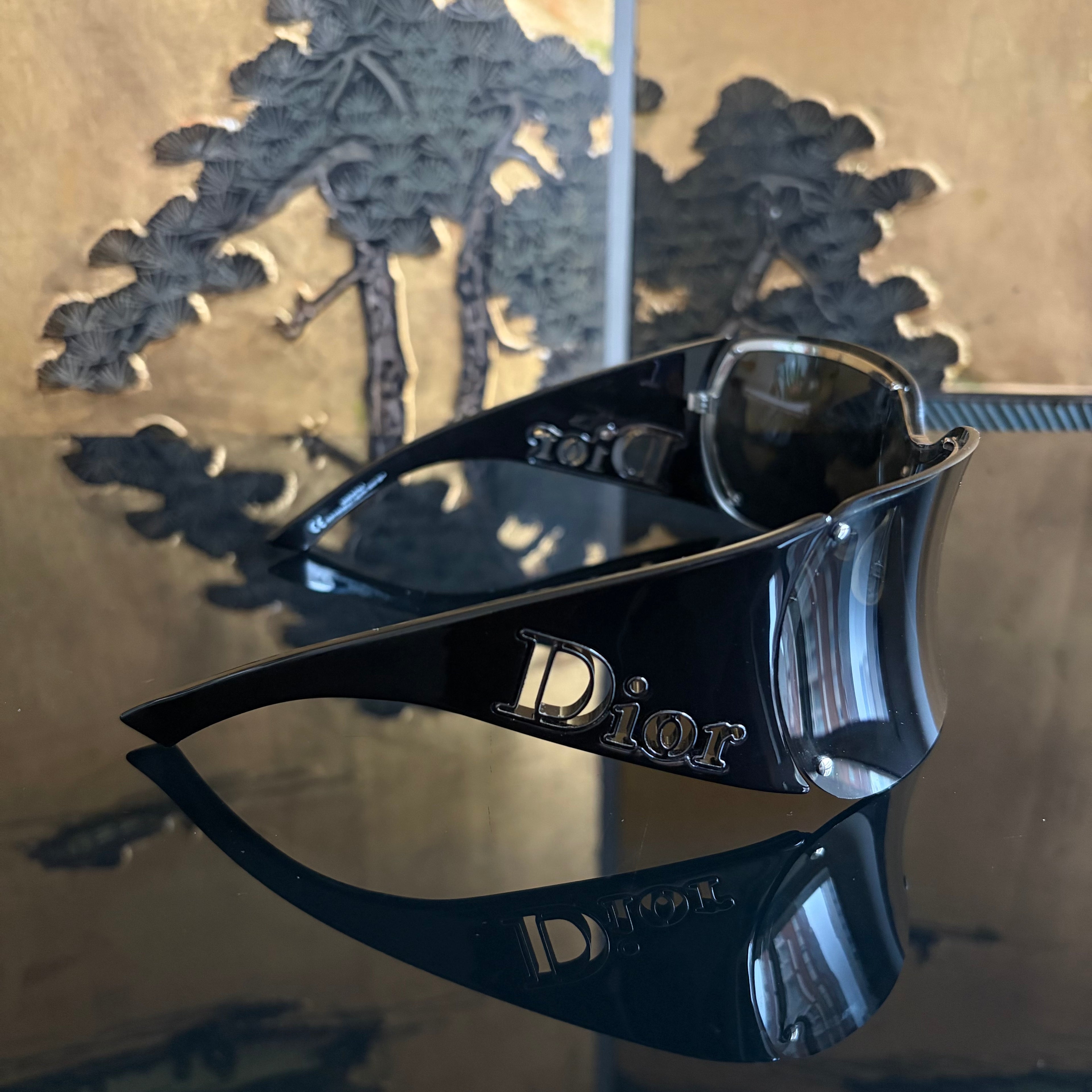 Christian Dior Parabole 2 Sunglasses