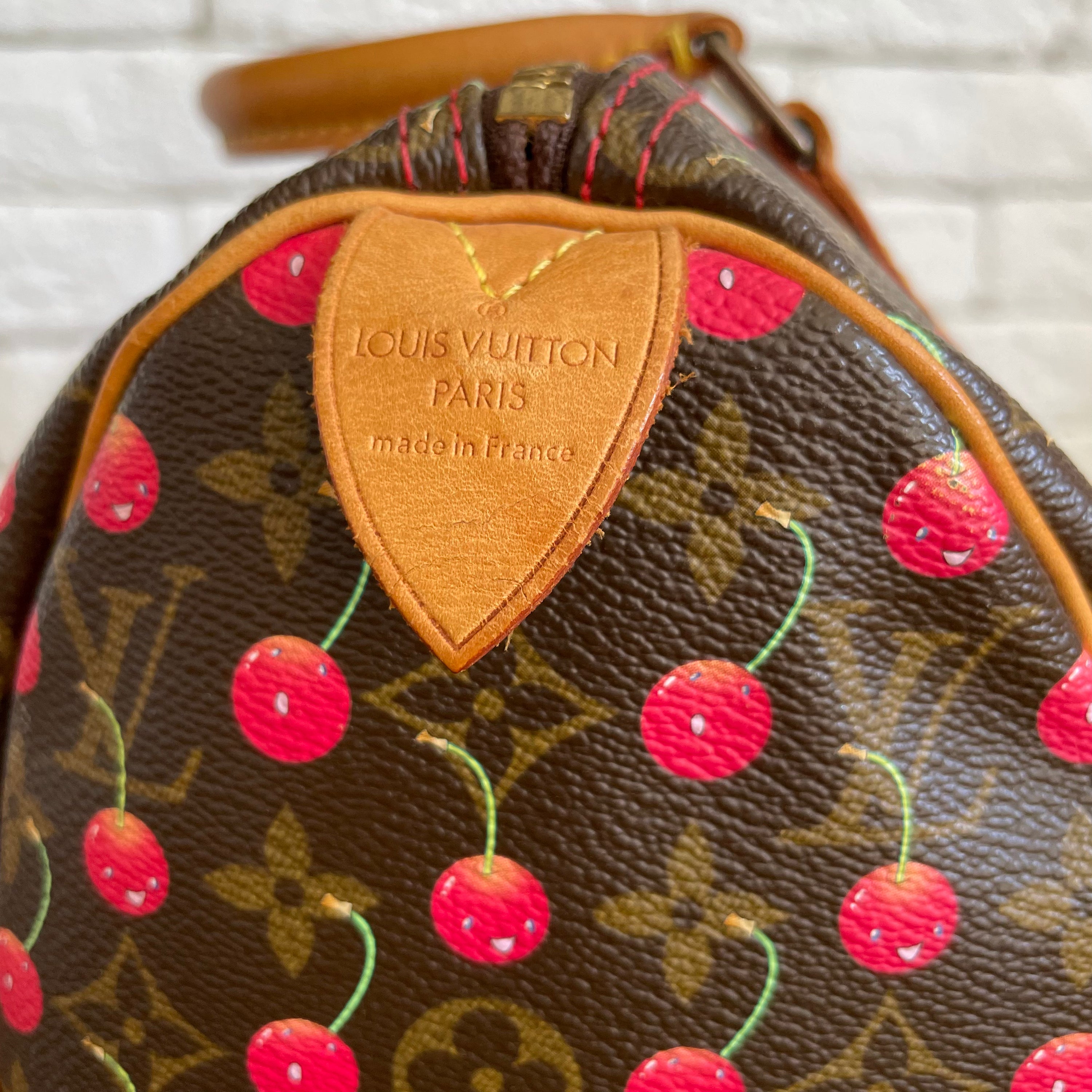 Louis Vuitton Cerises Speed 20