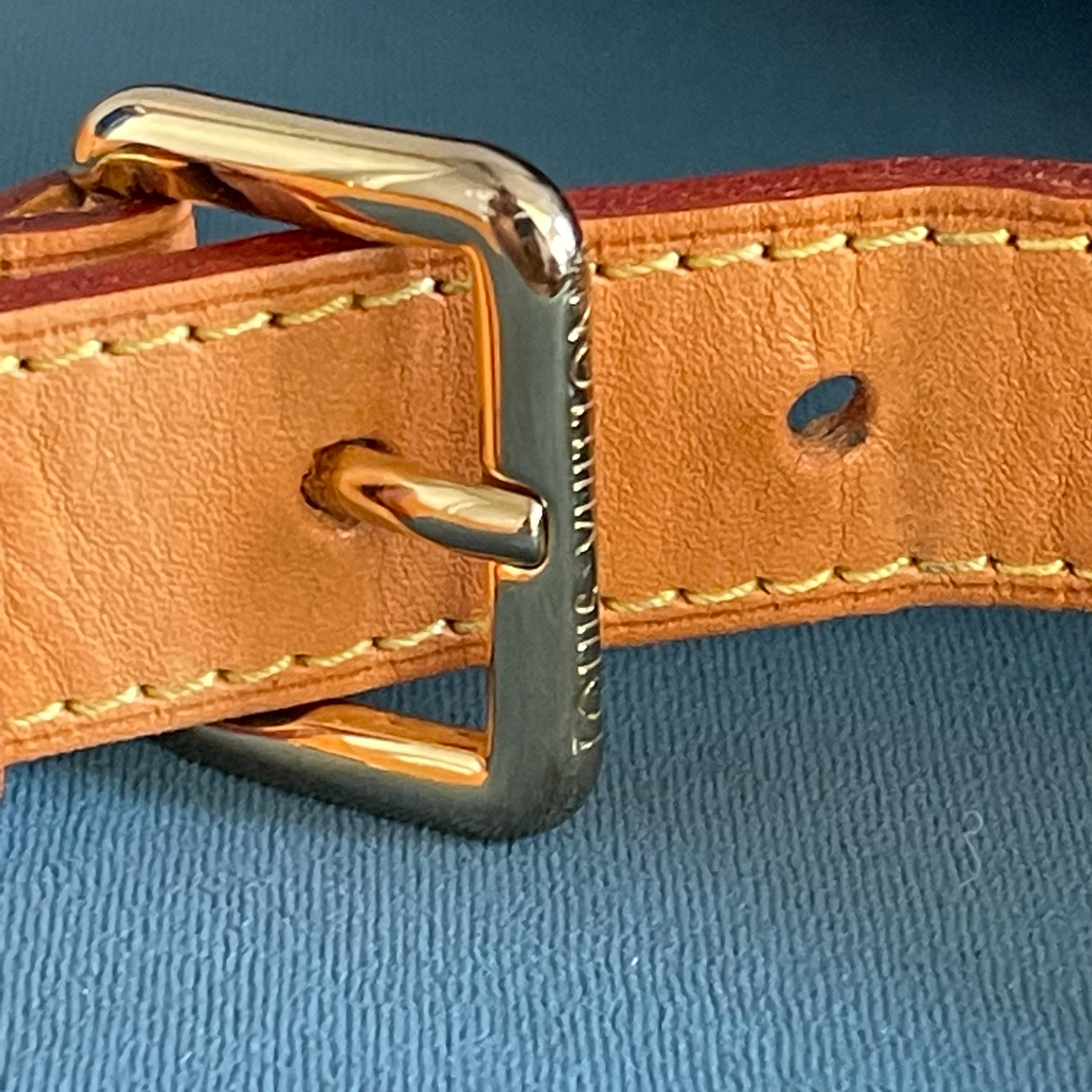 Louis Vuitton Bumbag