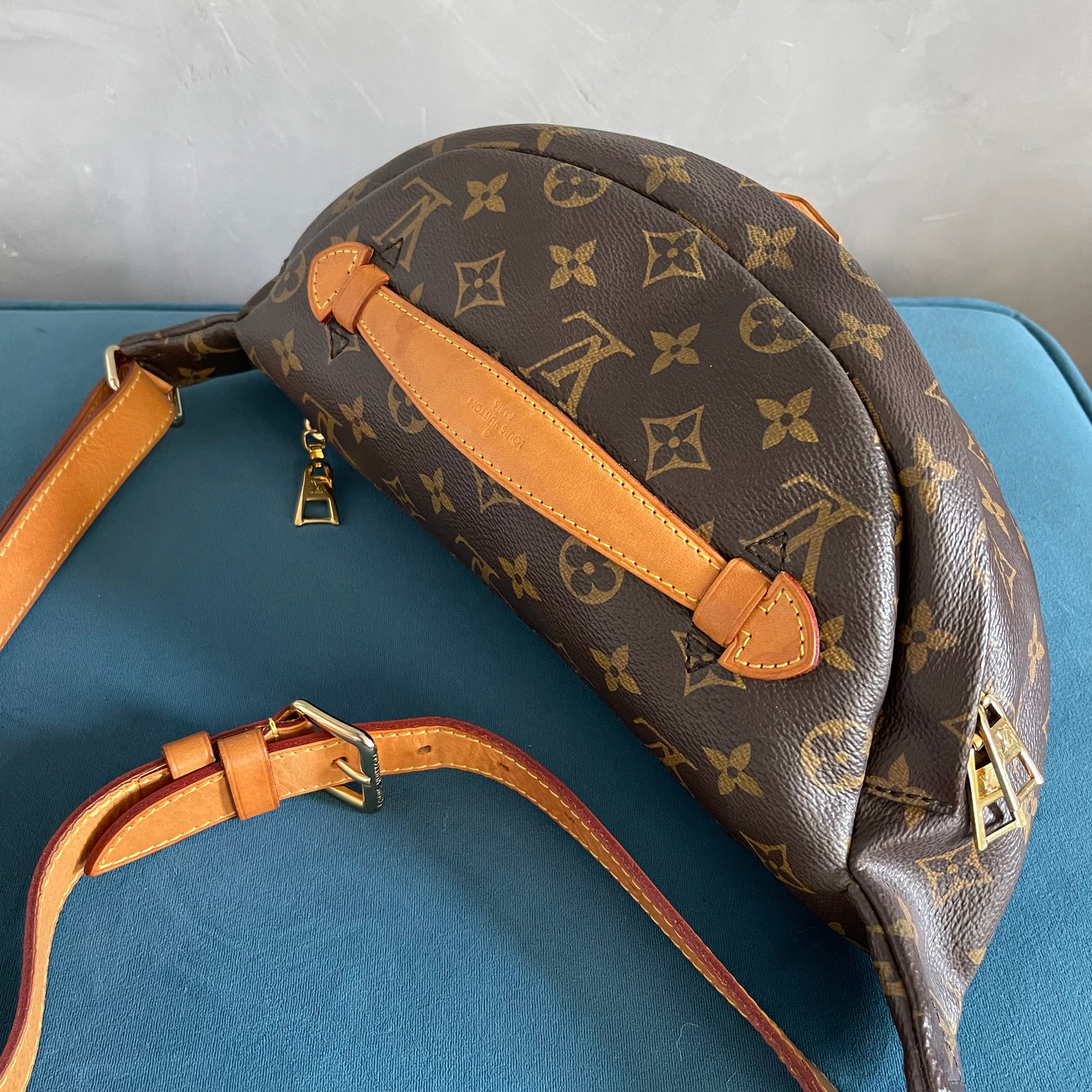 Louis Vuitton Bumbag