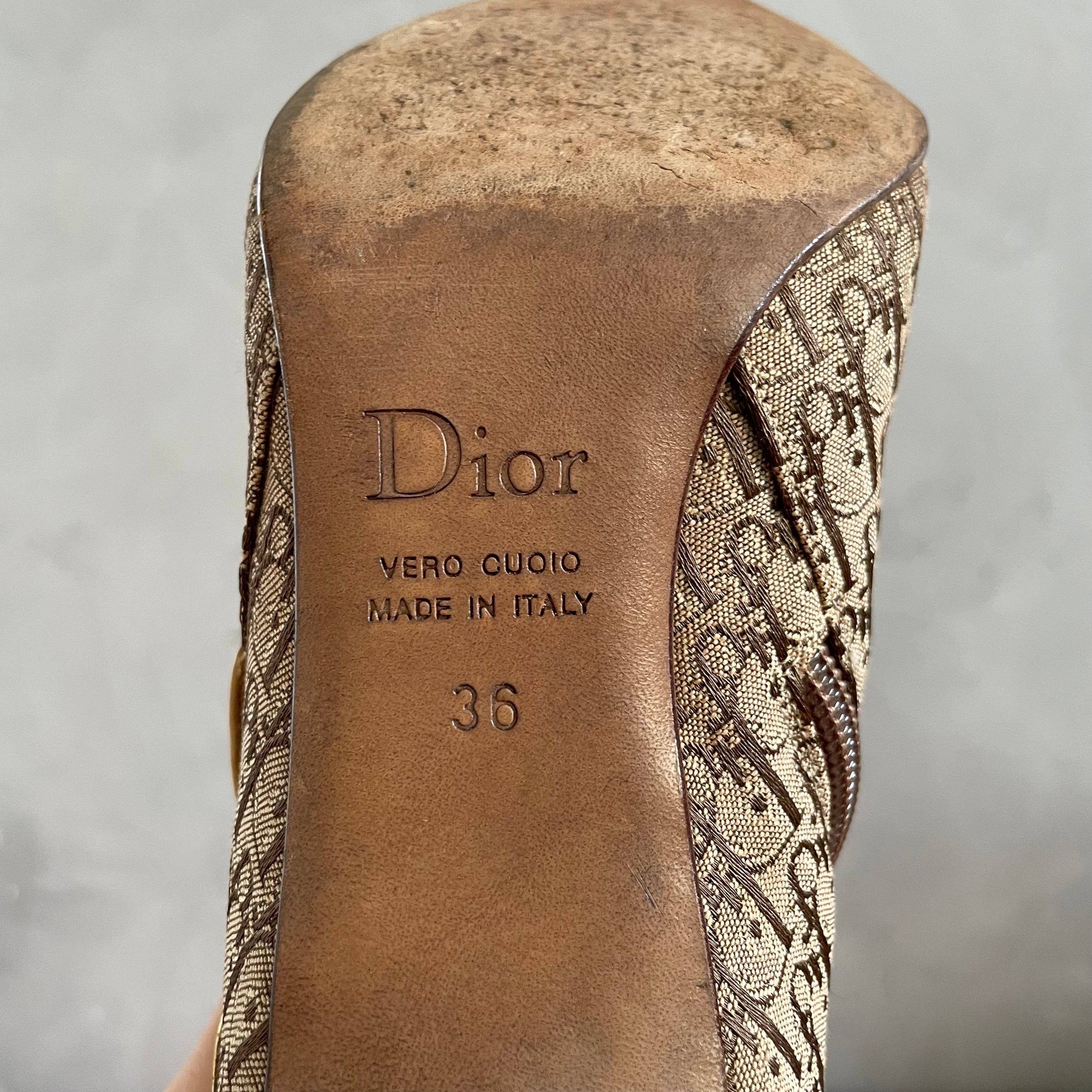 Dior Monogram Ankle Boots