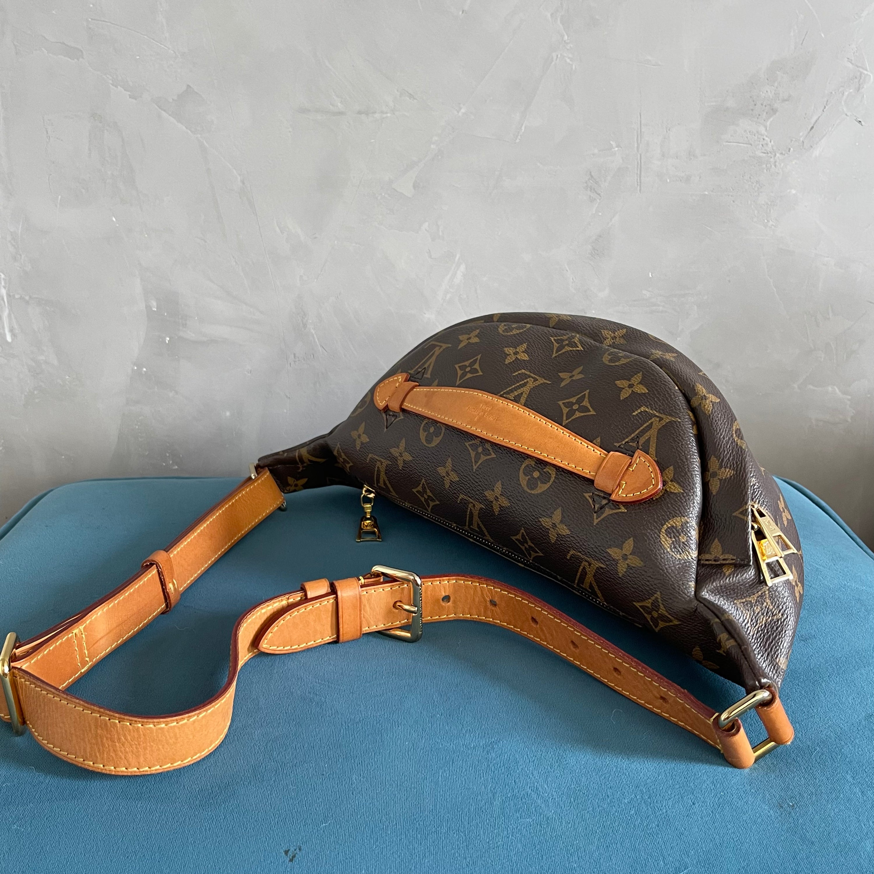 Louis Vuitton Bumbag