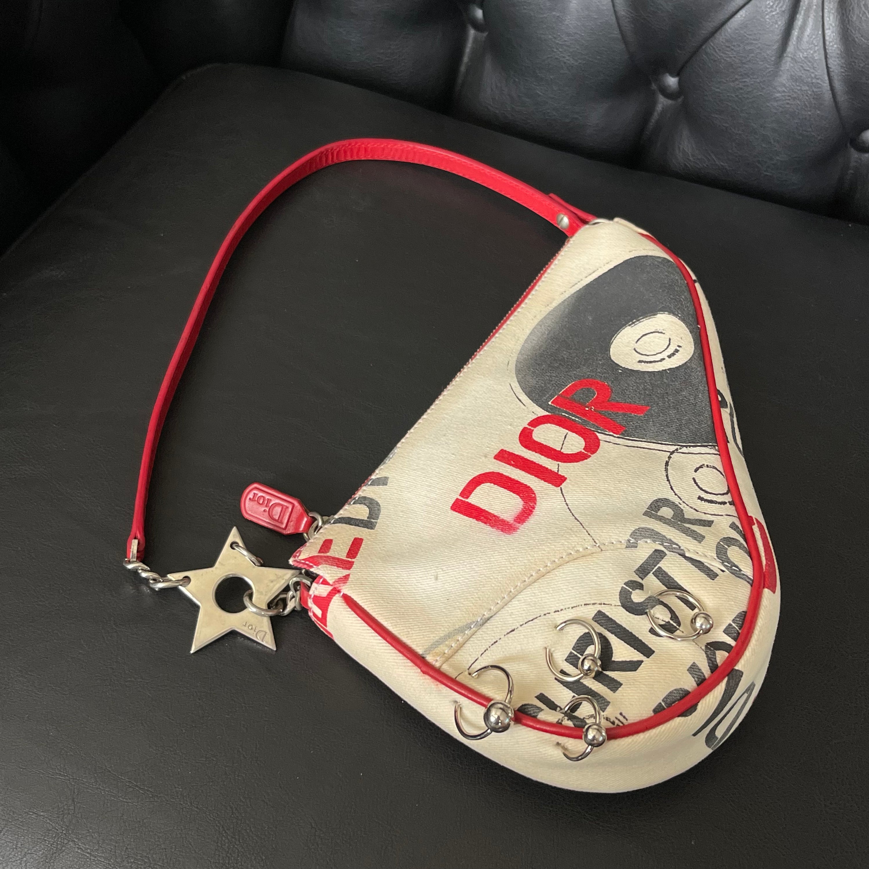 Dior Mini Saddle Hardcore