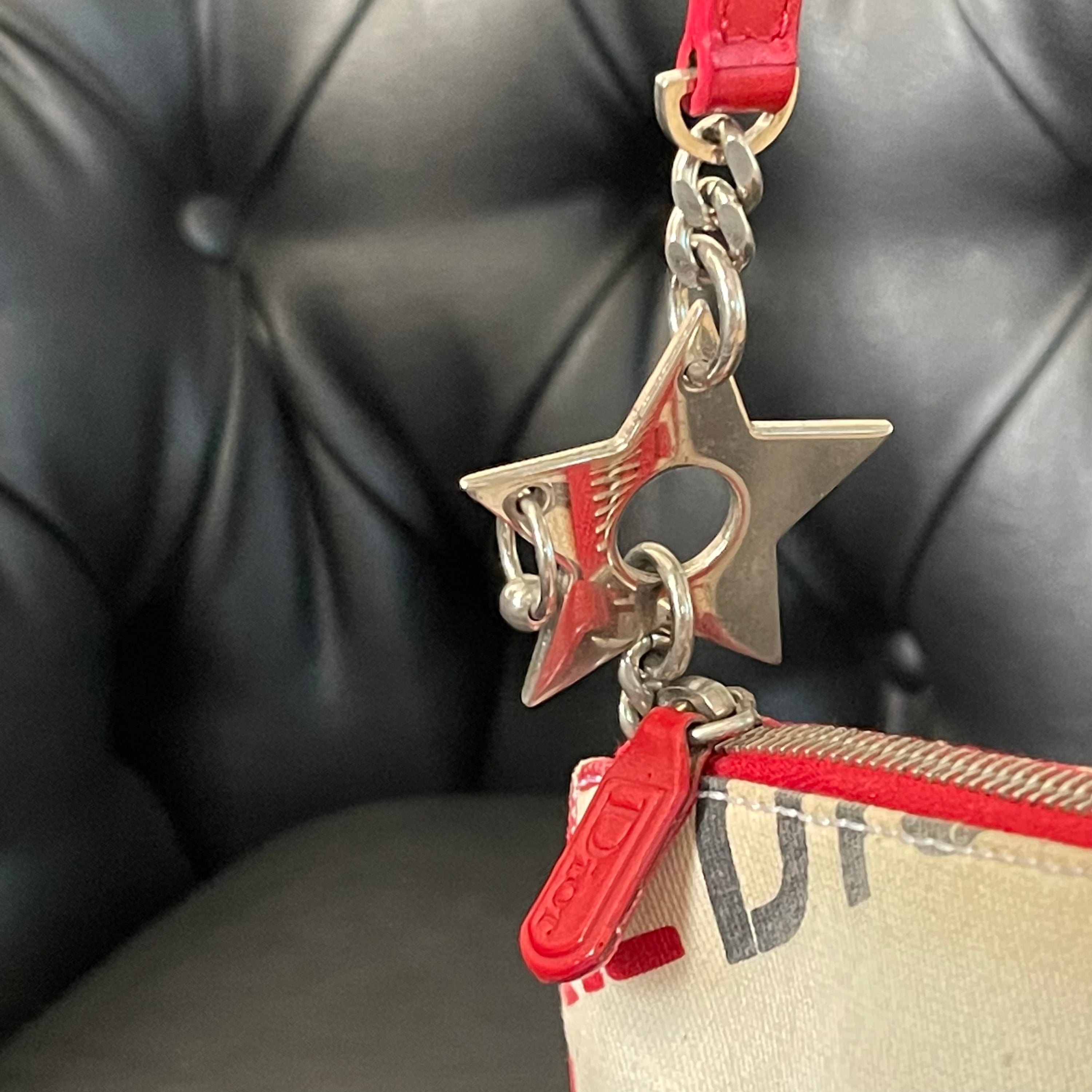 Dior Mini Saddle Hardcore