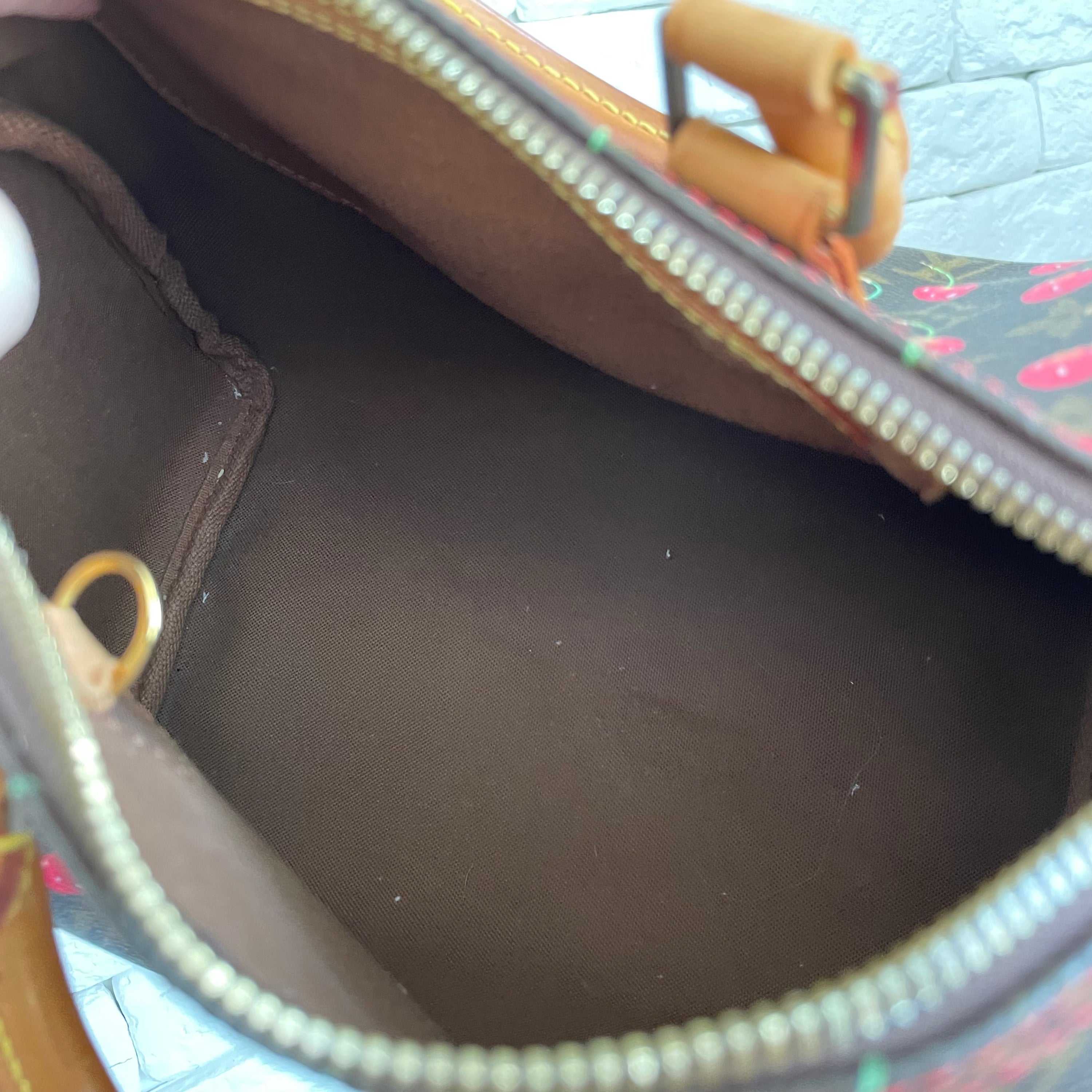 Louis Vuitton Cerises Speed 20