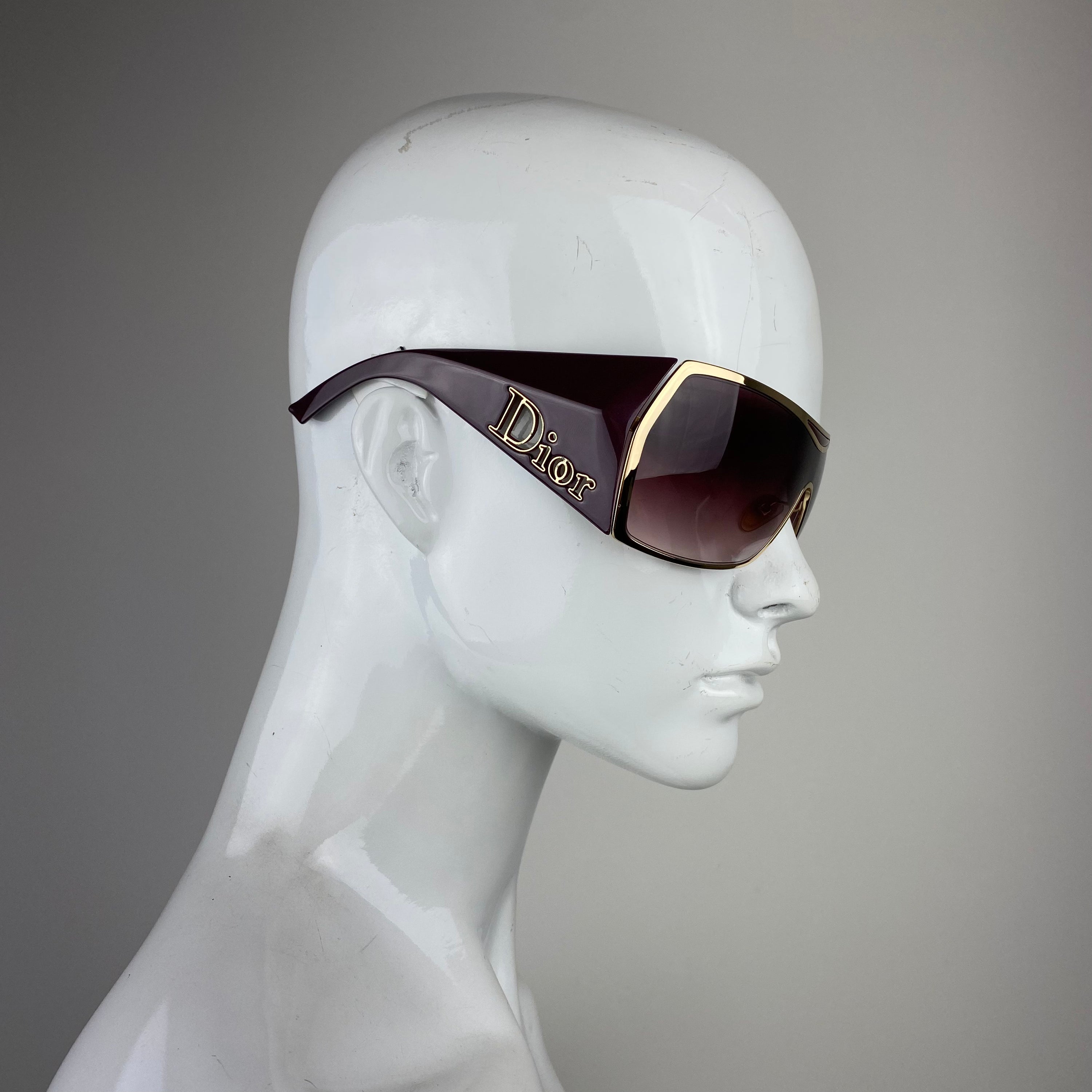 Dior Gaucho 2 Sunglasses